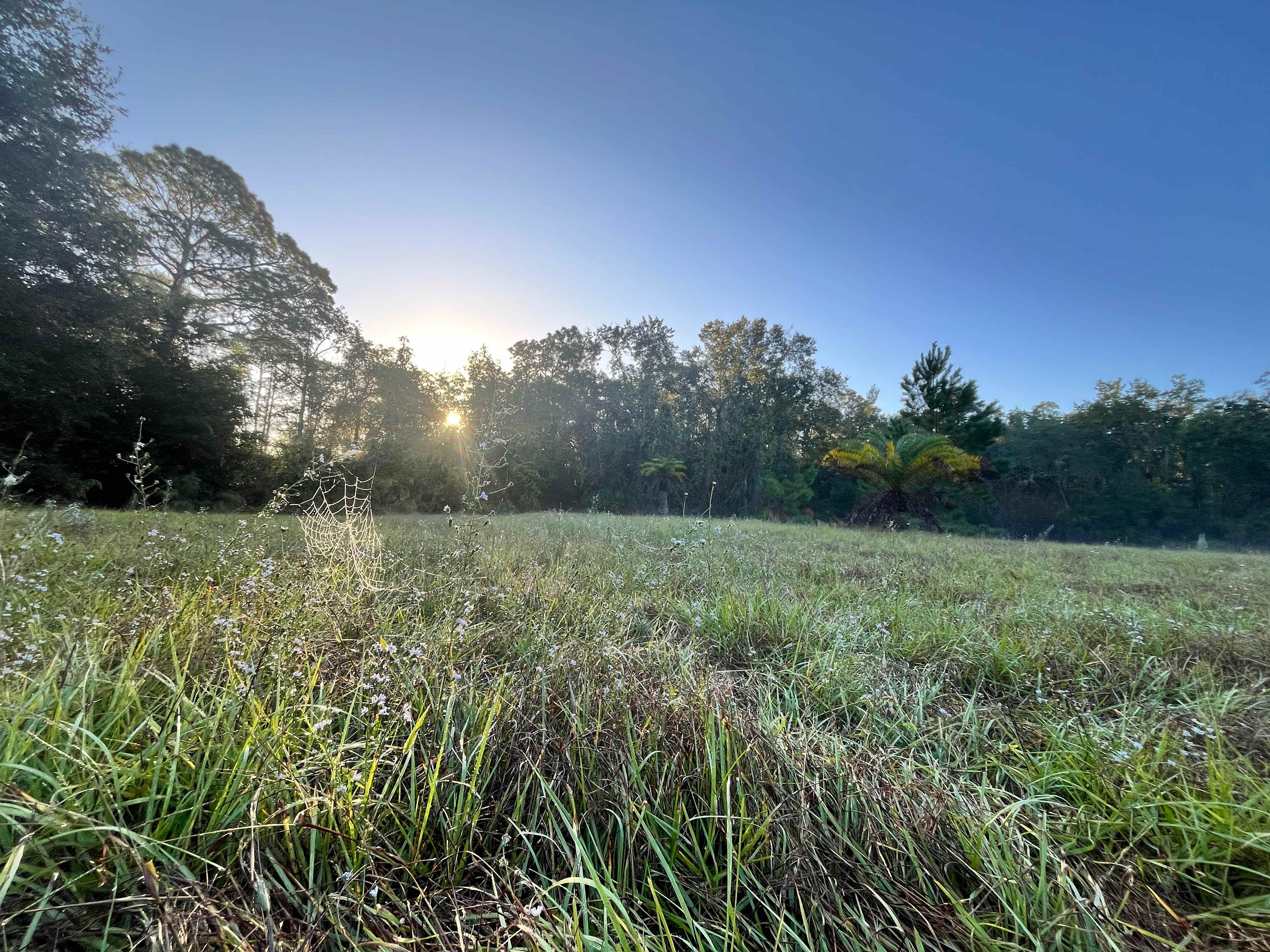 Whispering Oaks Lakeside Sanctuary