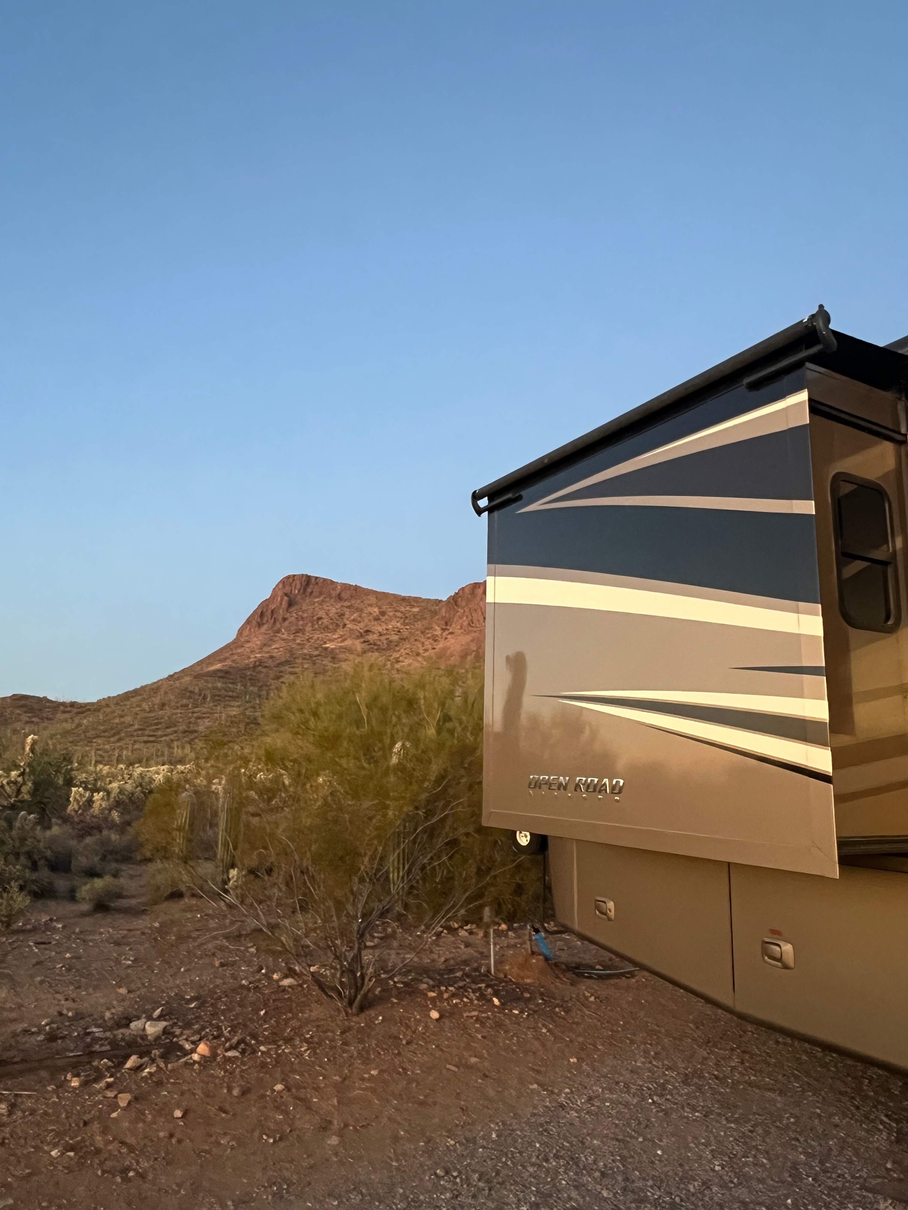 Saguaro national monument west