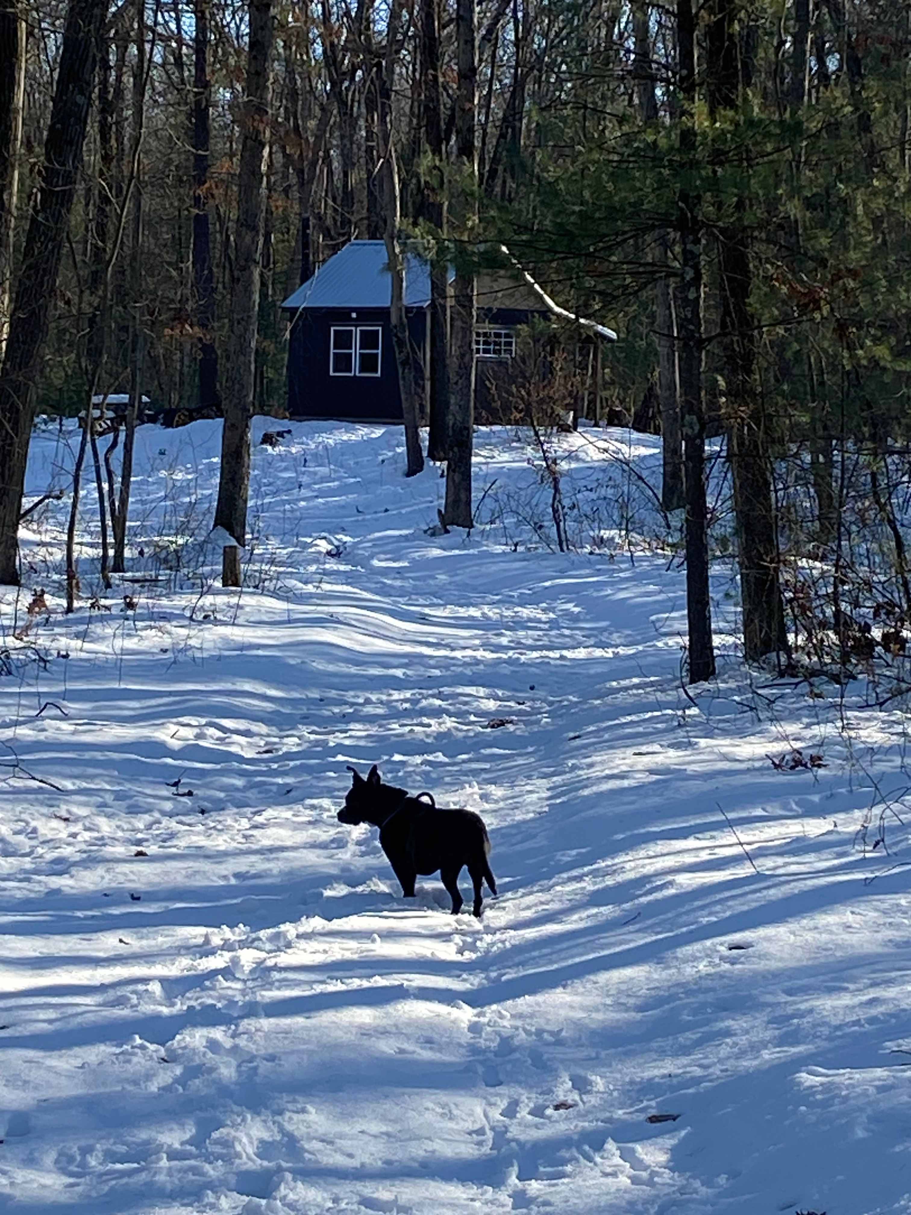 DaltonTraders Base Camp-Grand Cabin