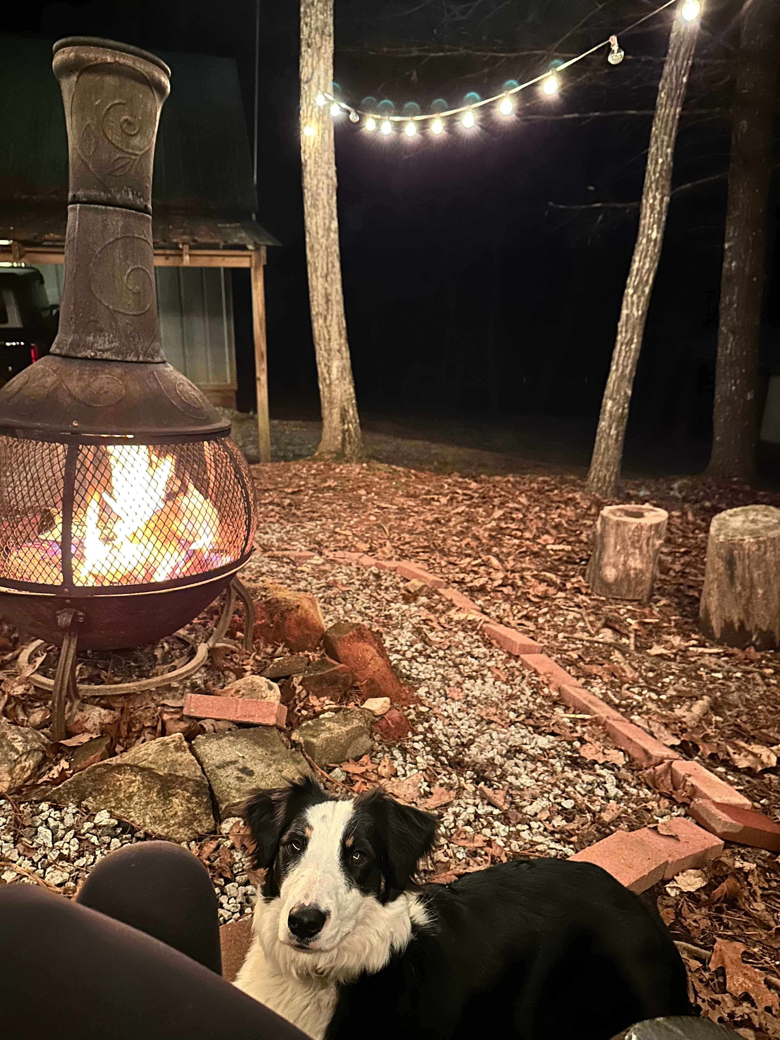 High Country Cabin