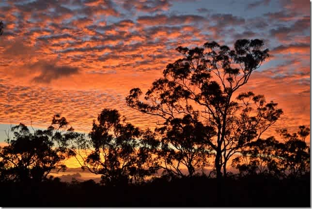 Mareeba Caravan Park
