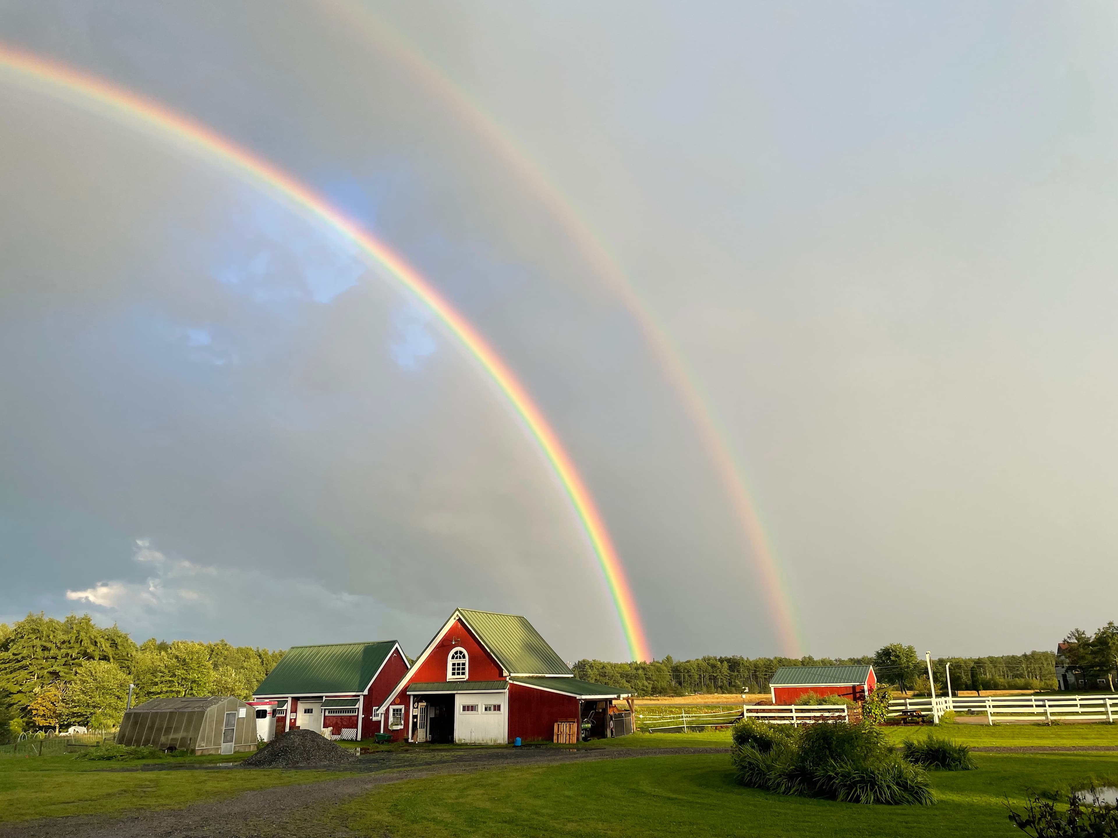 Iris Meadow Farm