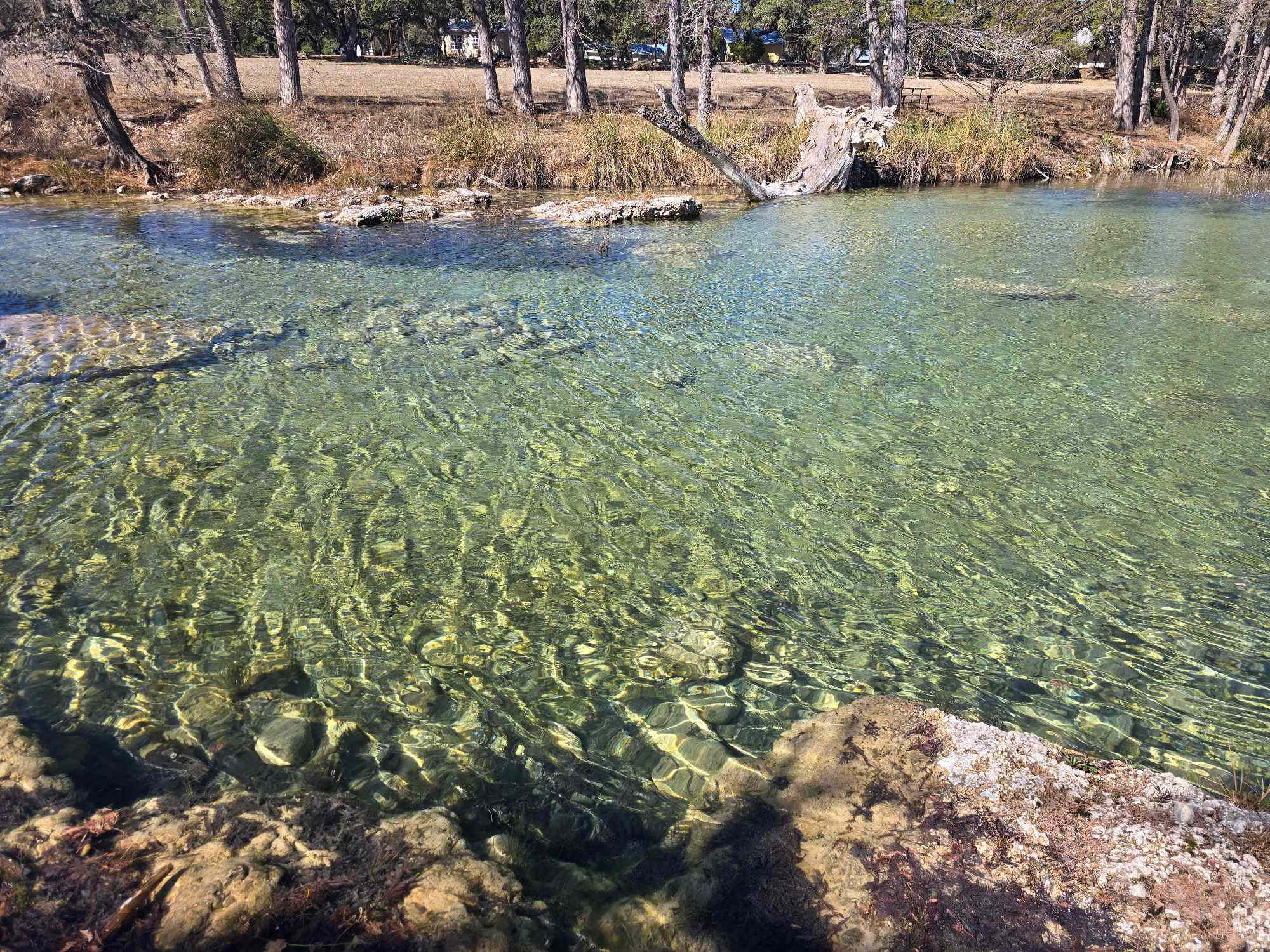 Clear Water Ranch & Resort