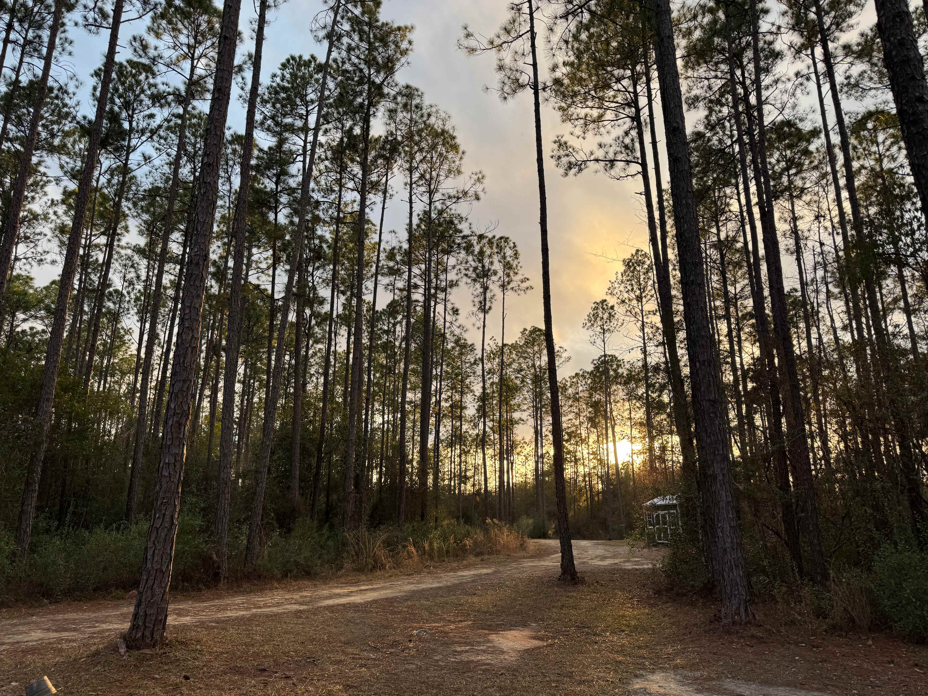 The Wandering Path