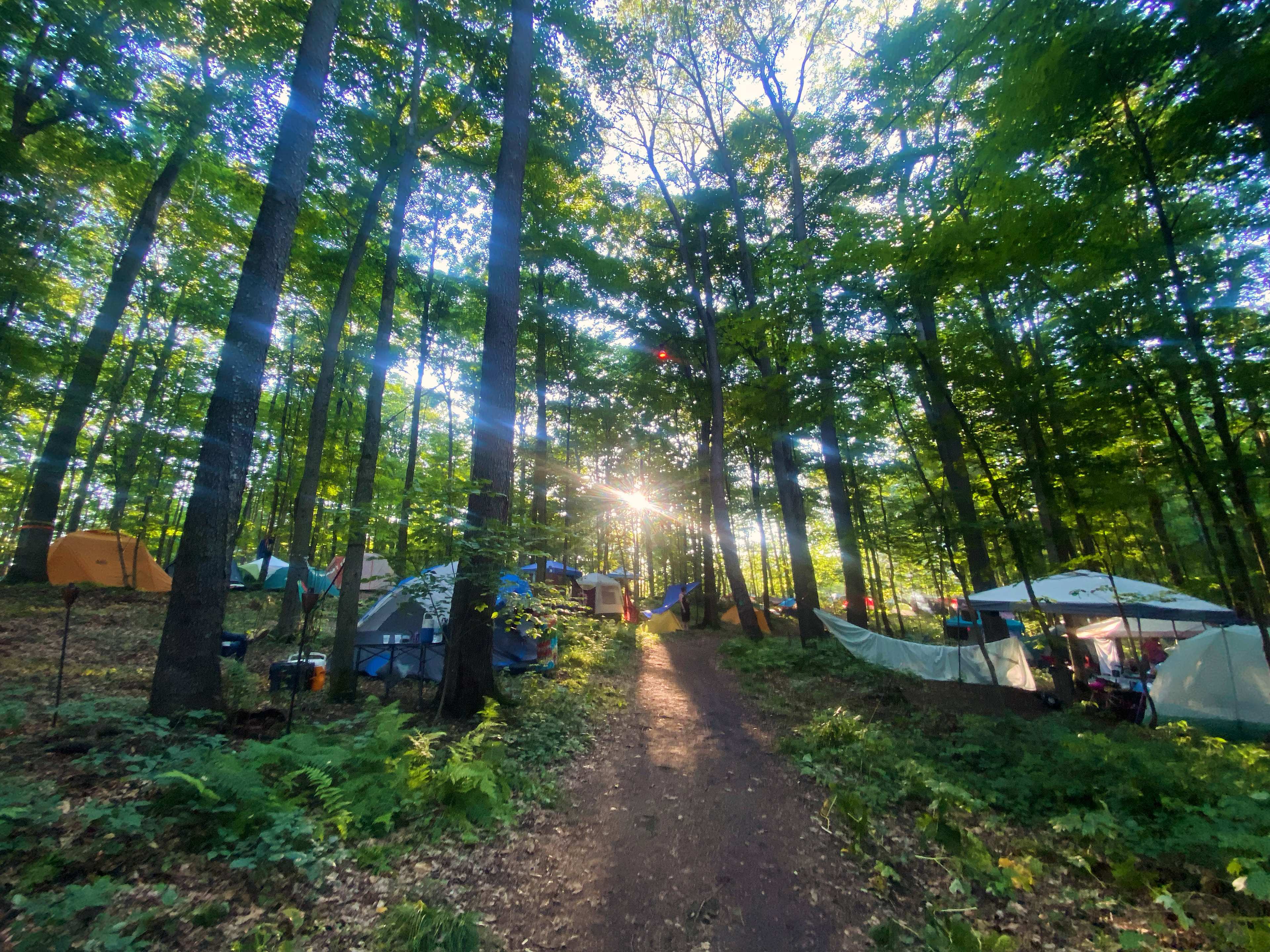 Picture of the site