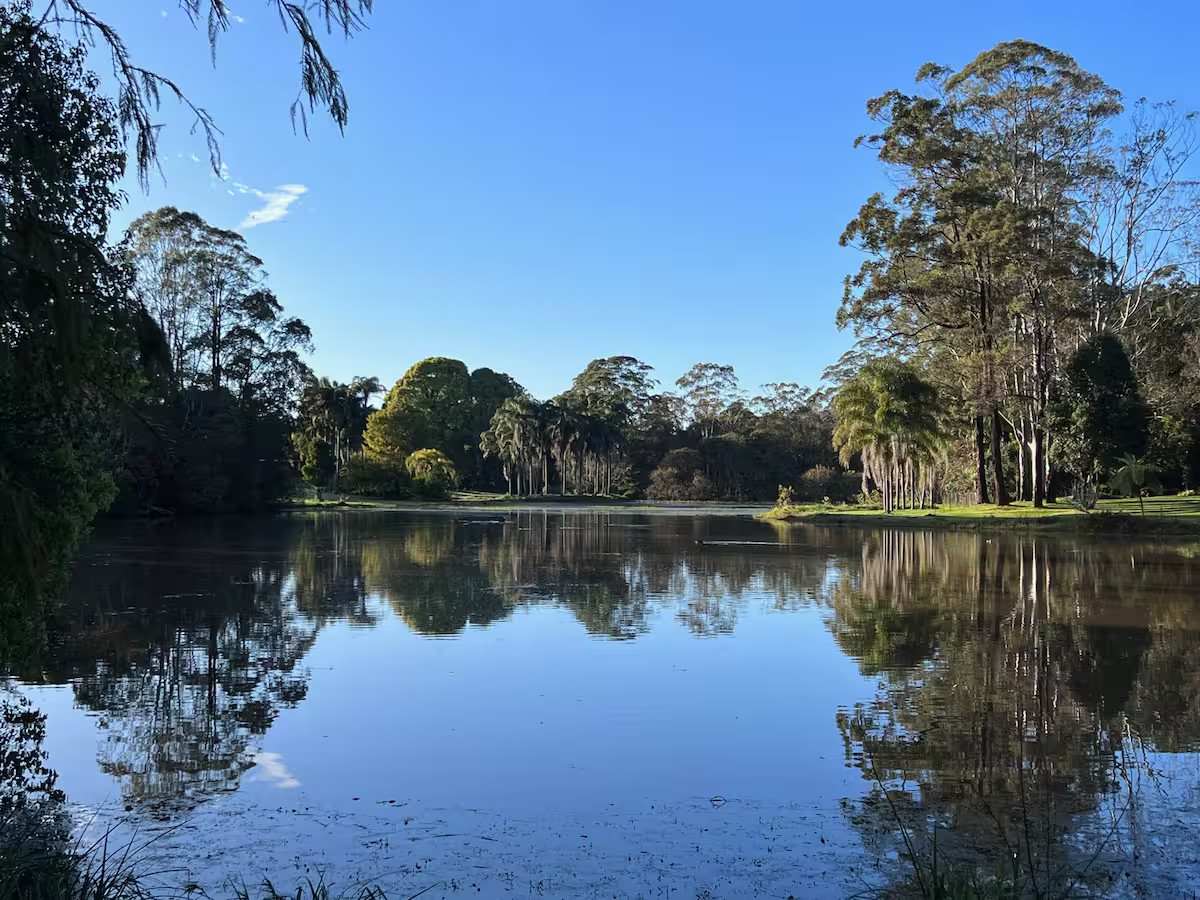 Maleny Harmonic Haven