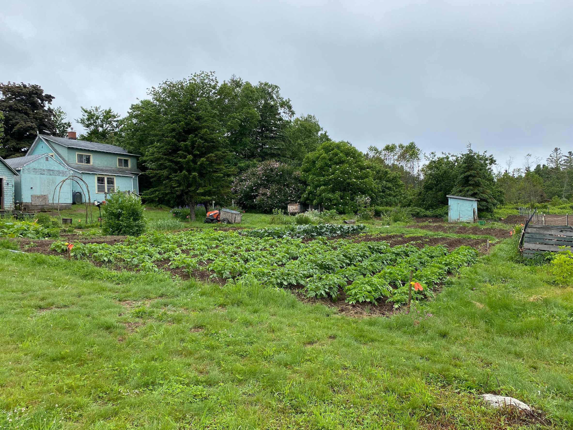 Mother Mushroom Farmstay