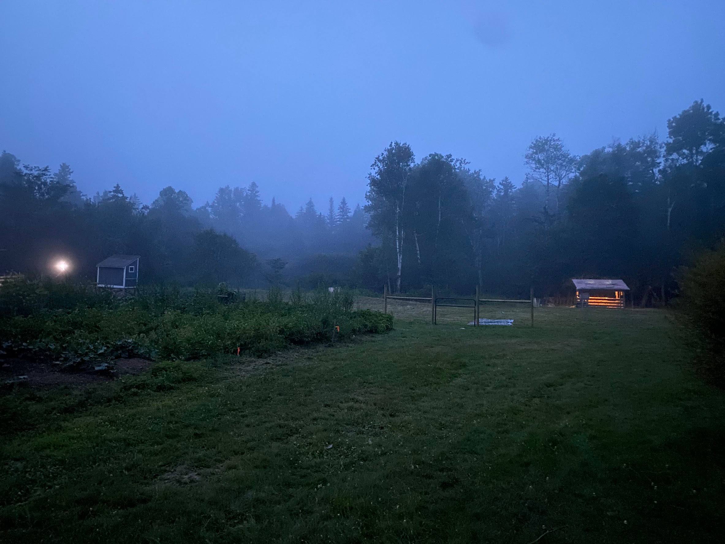 Mother Mushroom Farmstay