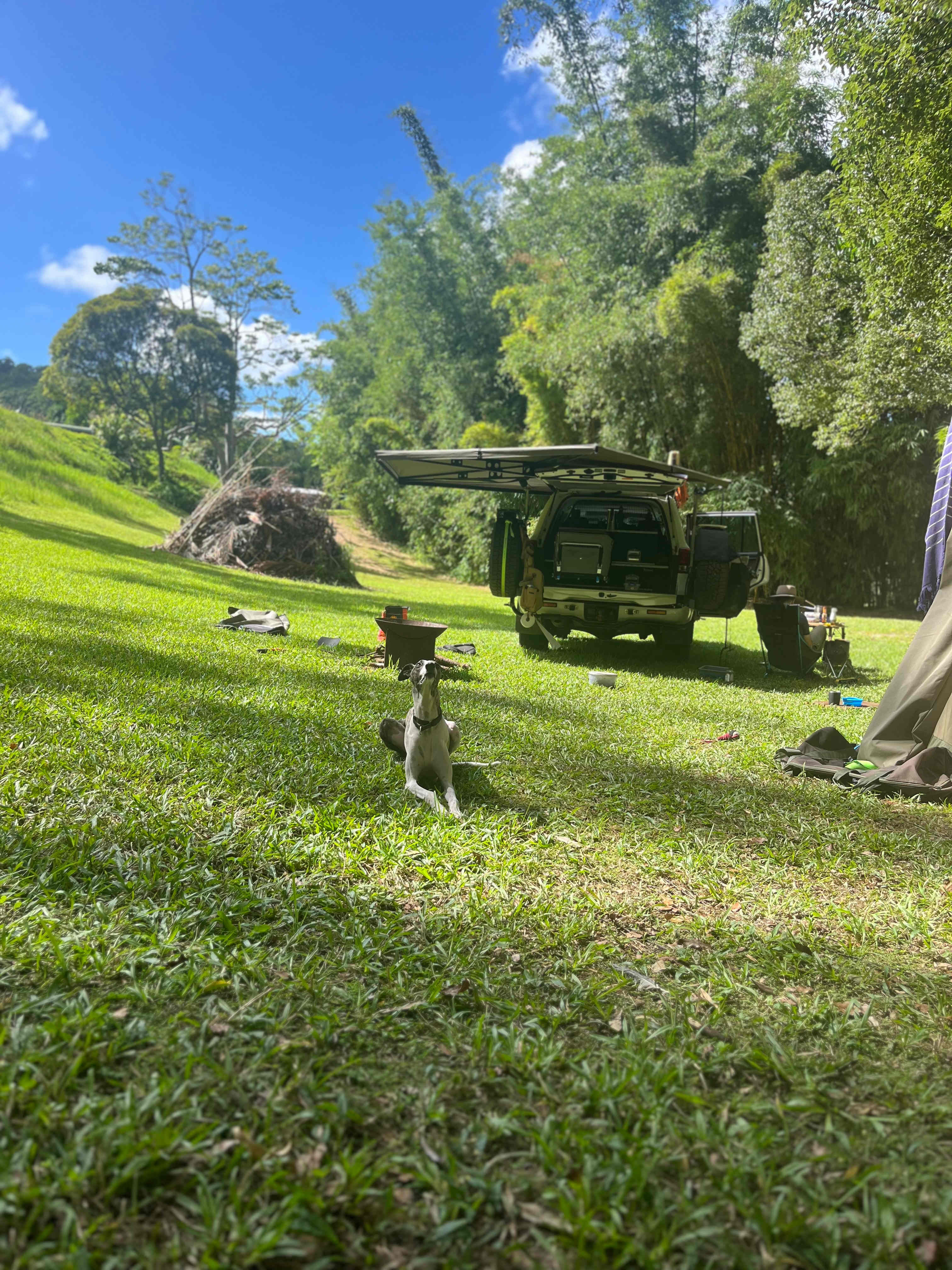 Picture of the site