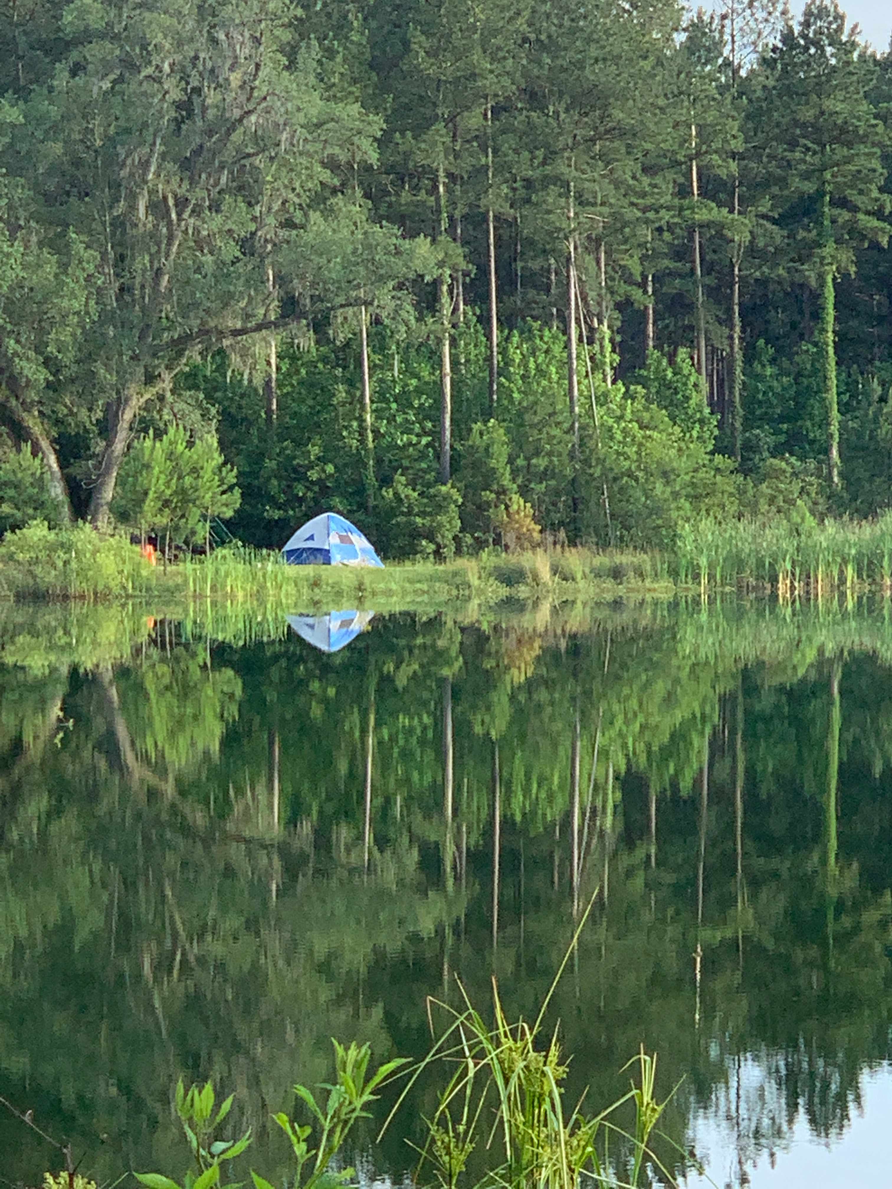 Woodlands Nature Reserve