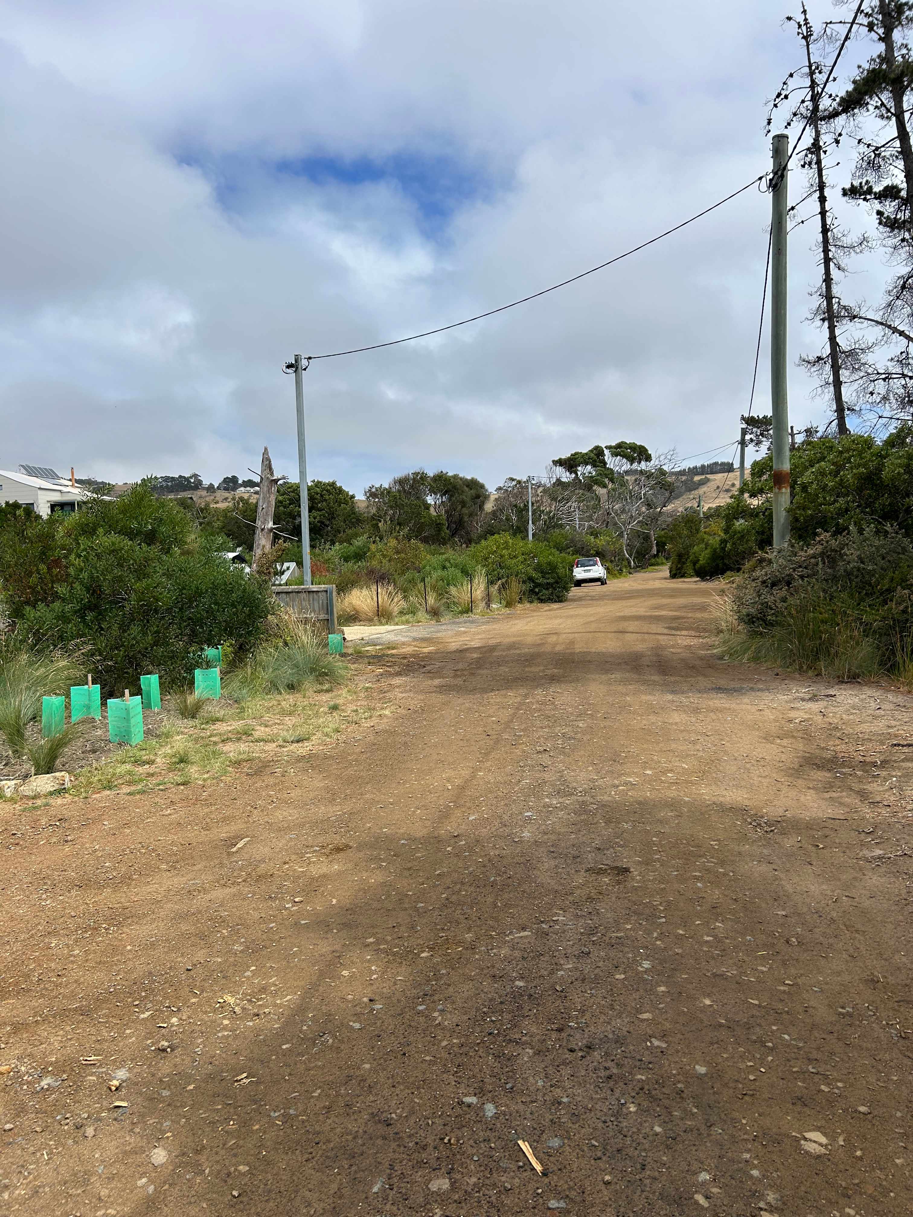 Cowries On Clifton