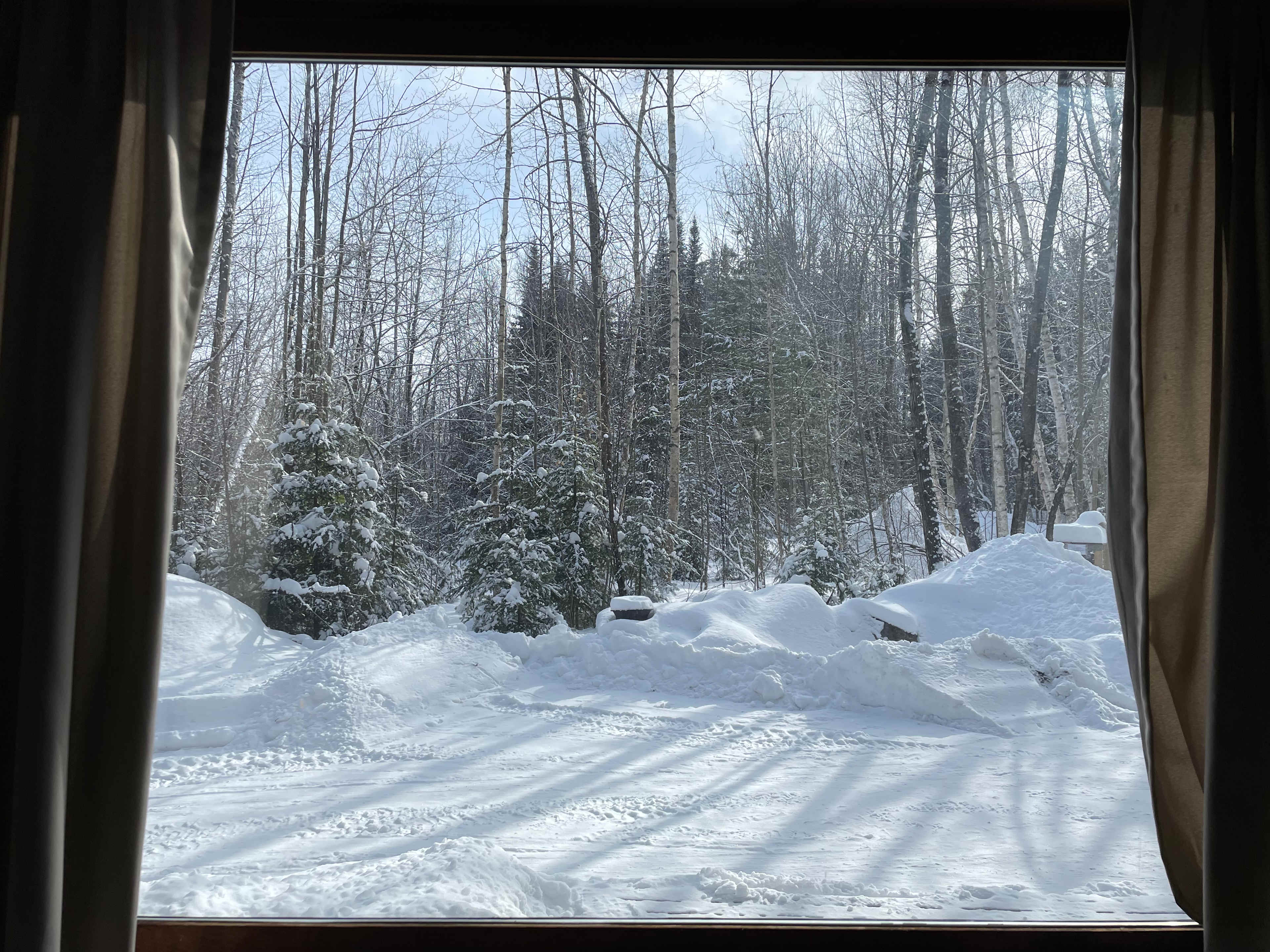 View from the front window during winter