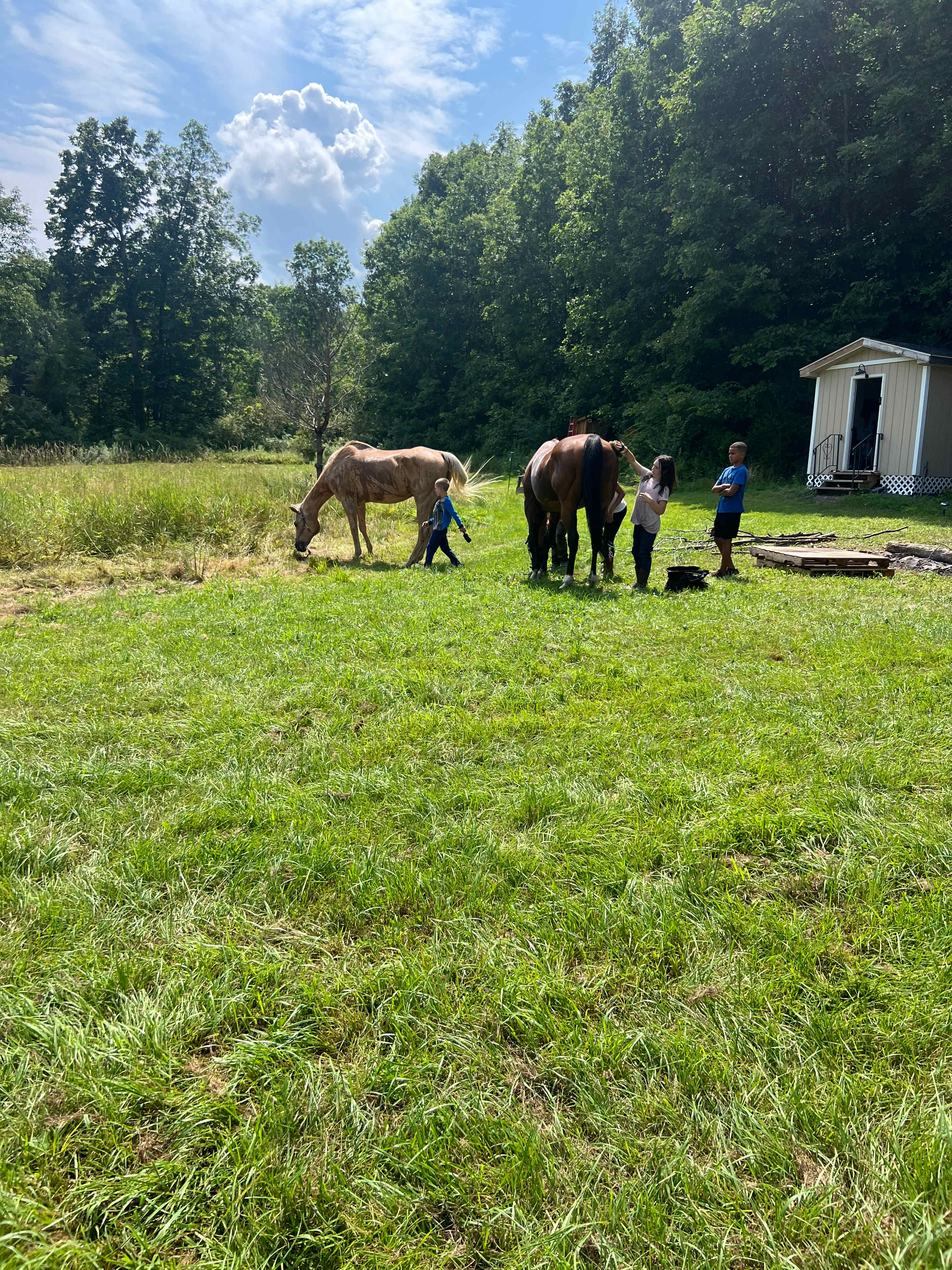 Martin’s Ranch