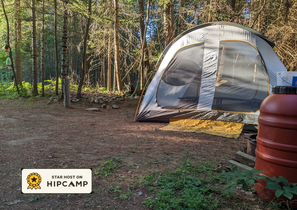 The evening setting sun shines yellow on camping tent