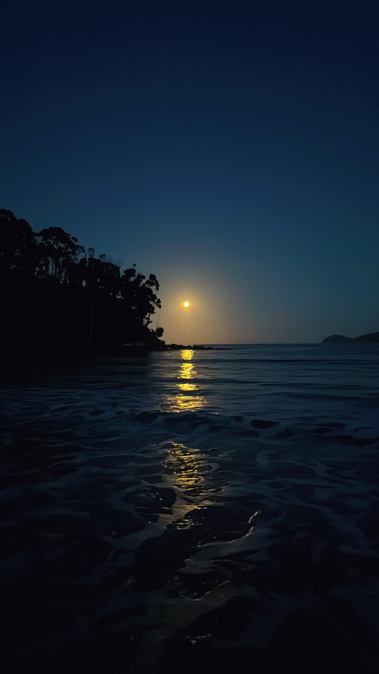 Resolution Farm - Beach Views