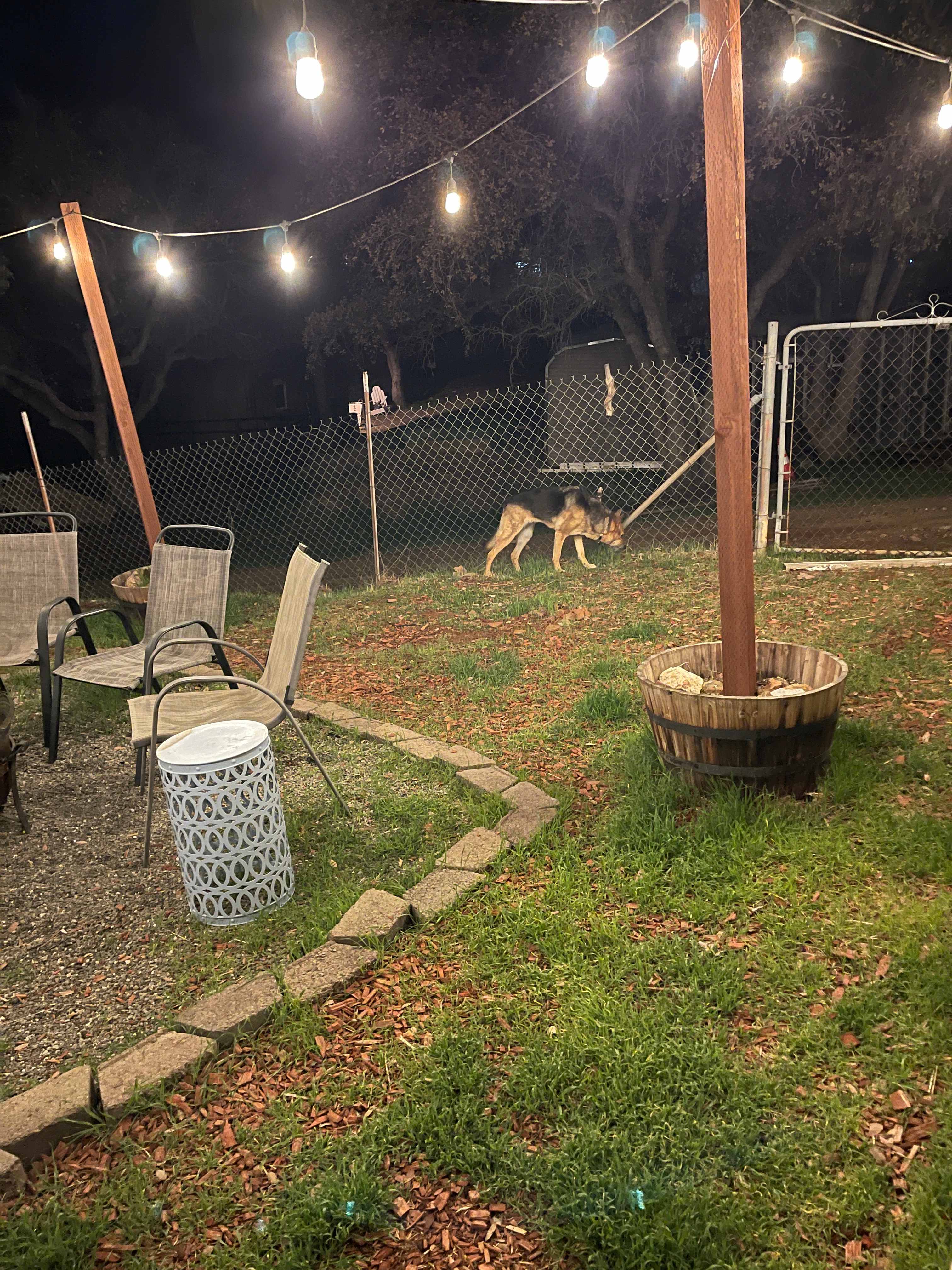 Fenced in backyard 