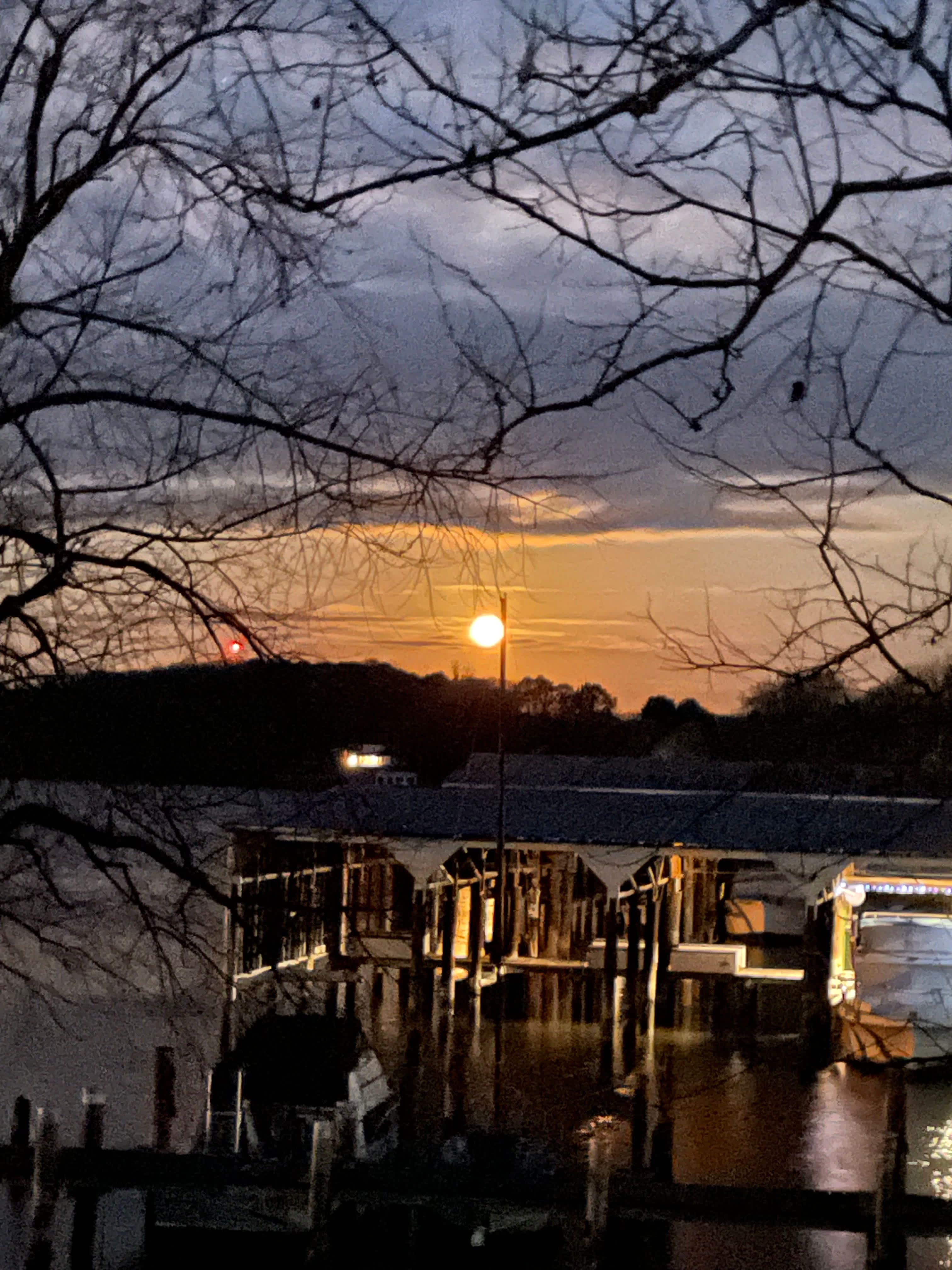 Harbor View