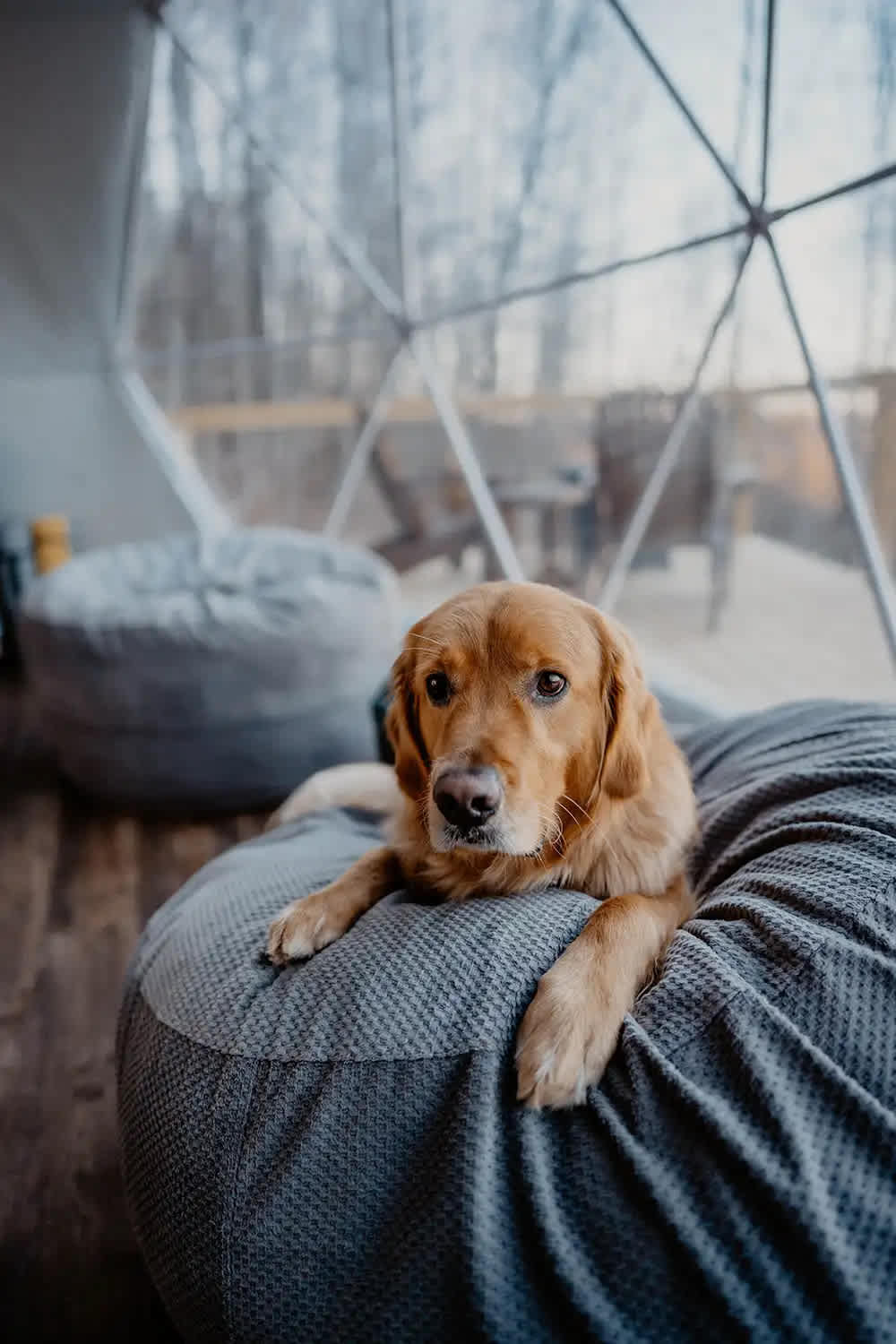 TennesseeGlamping Domes Savage Gulf