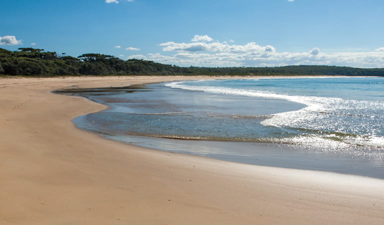 Meroo Head campground