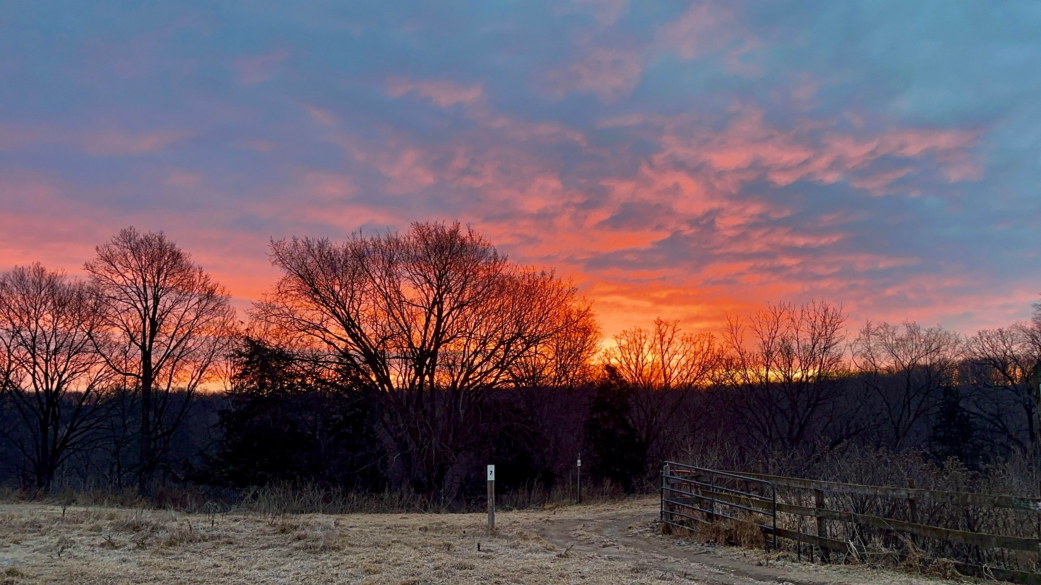 I enjoyed a number of beautiful sunsets on the patio! 