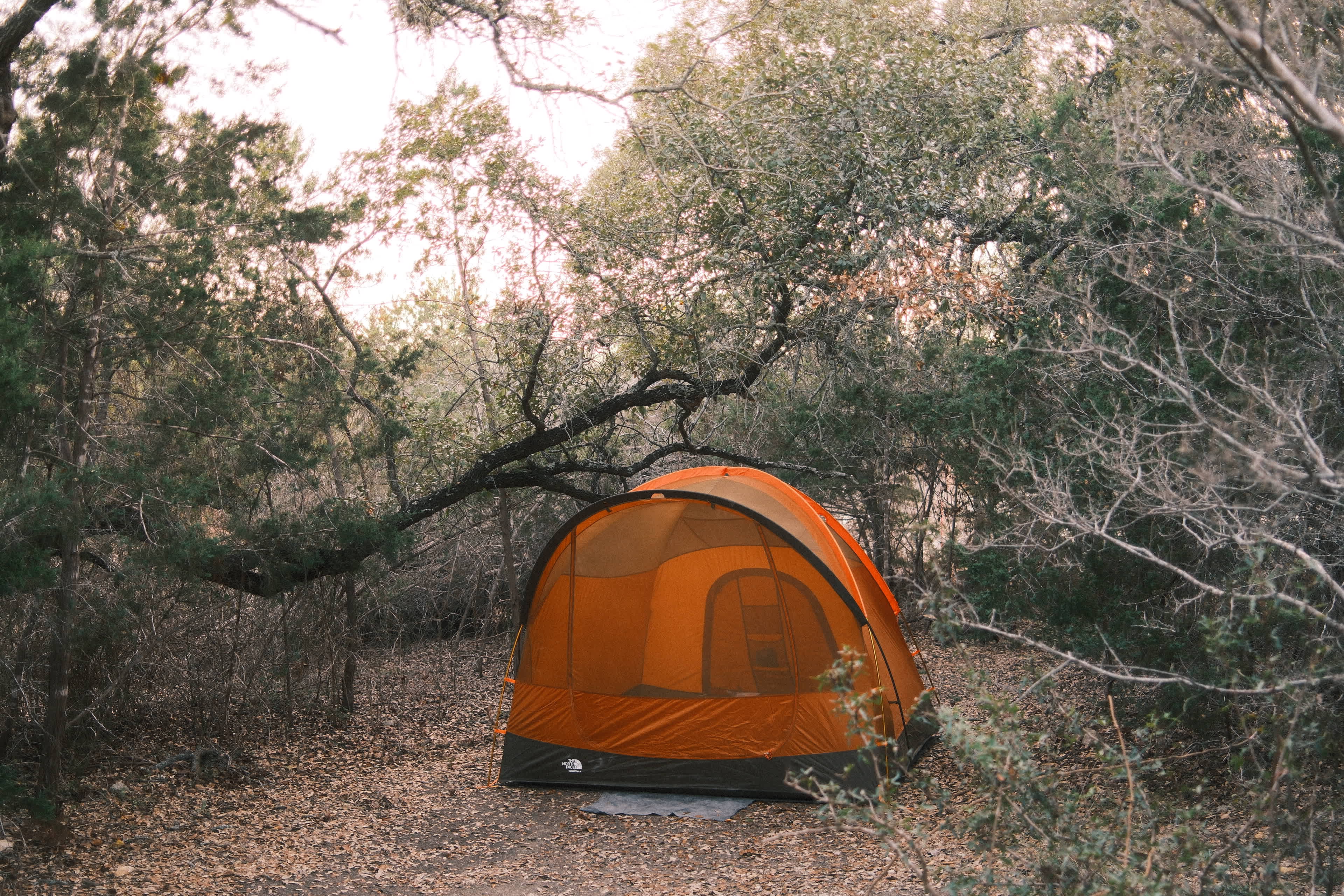 Camping near Hamilton Pool
