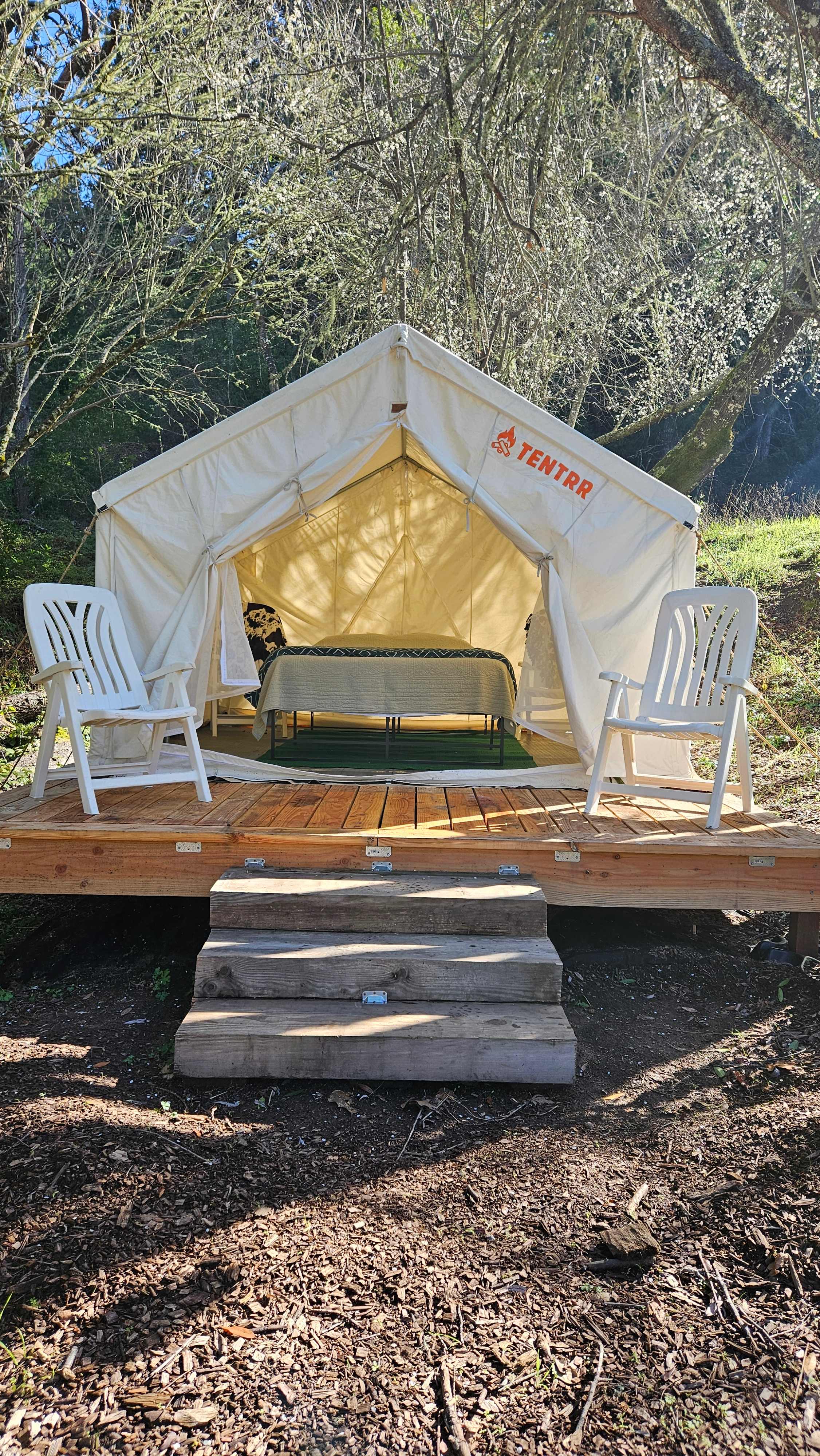 Santa Cruz Mountain Camping