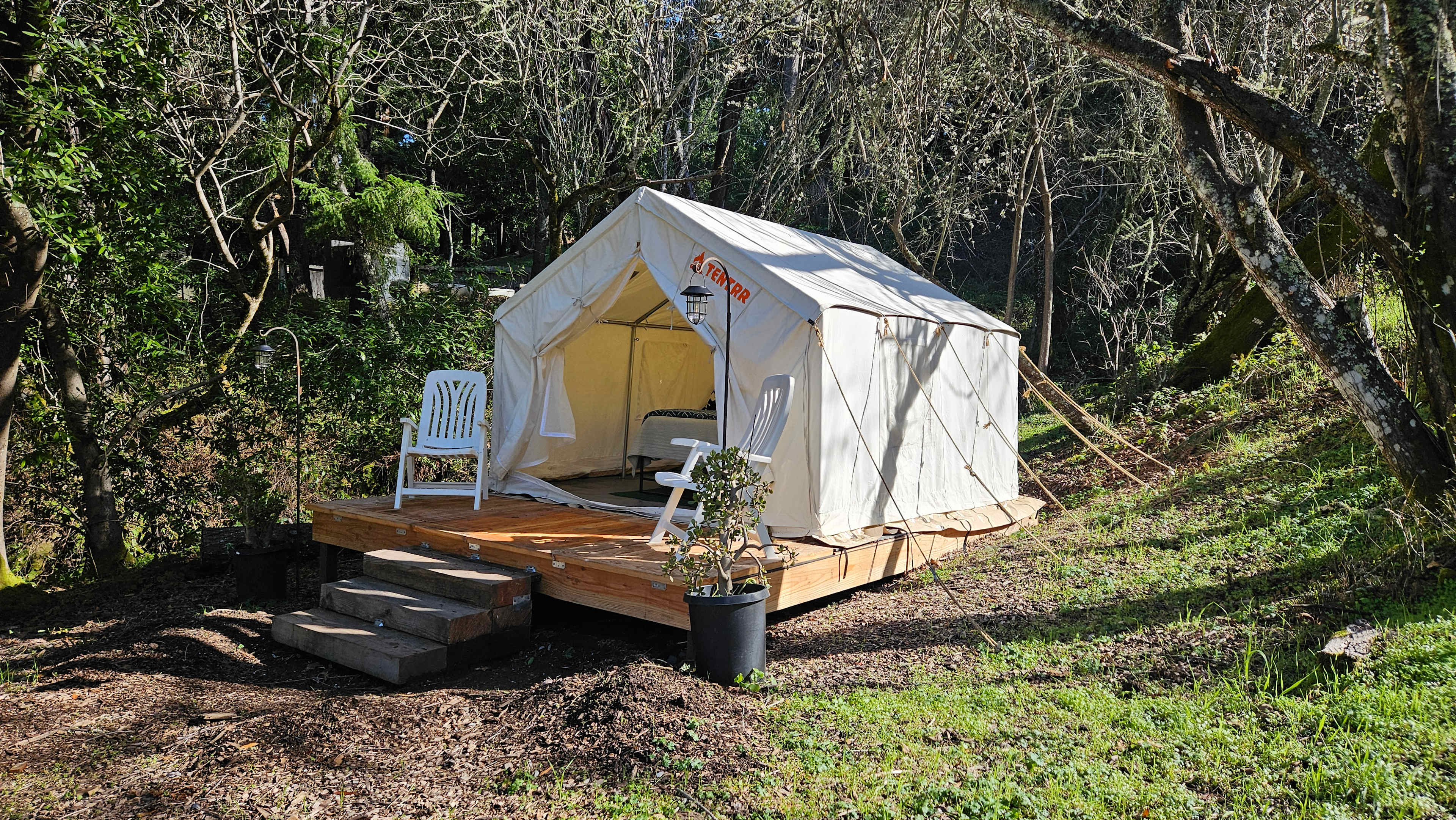 Santa Cruz Mountain Camping