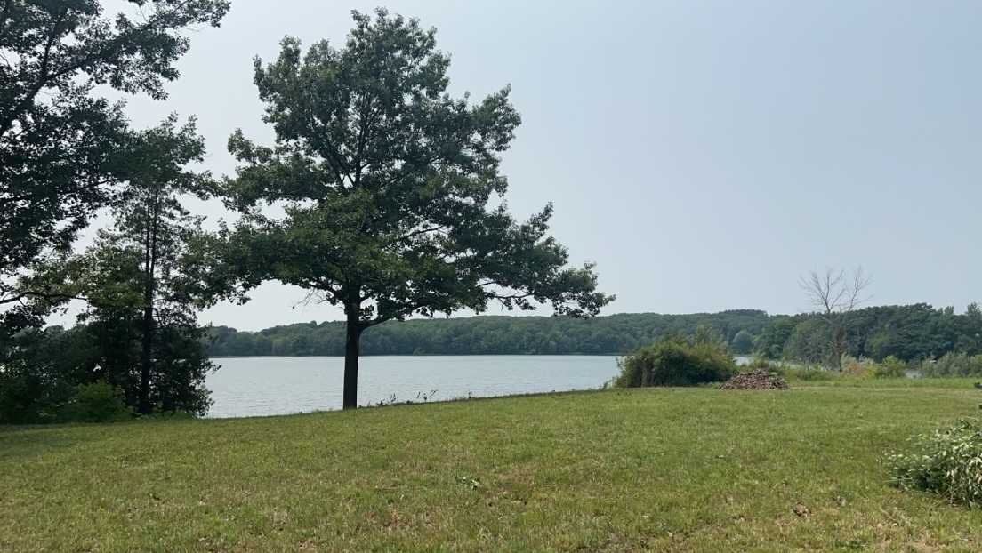 Oxbow Lake Oasis