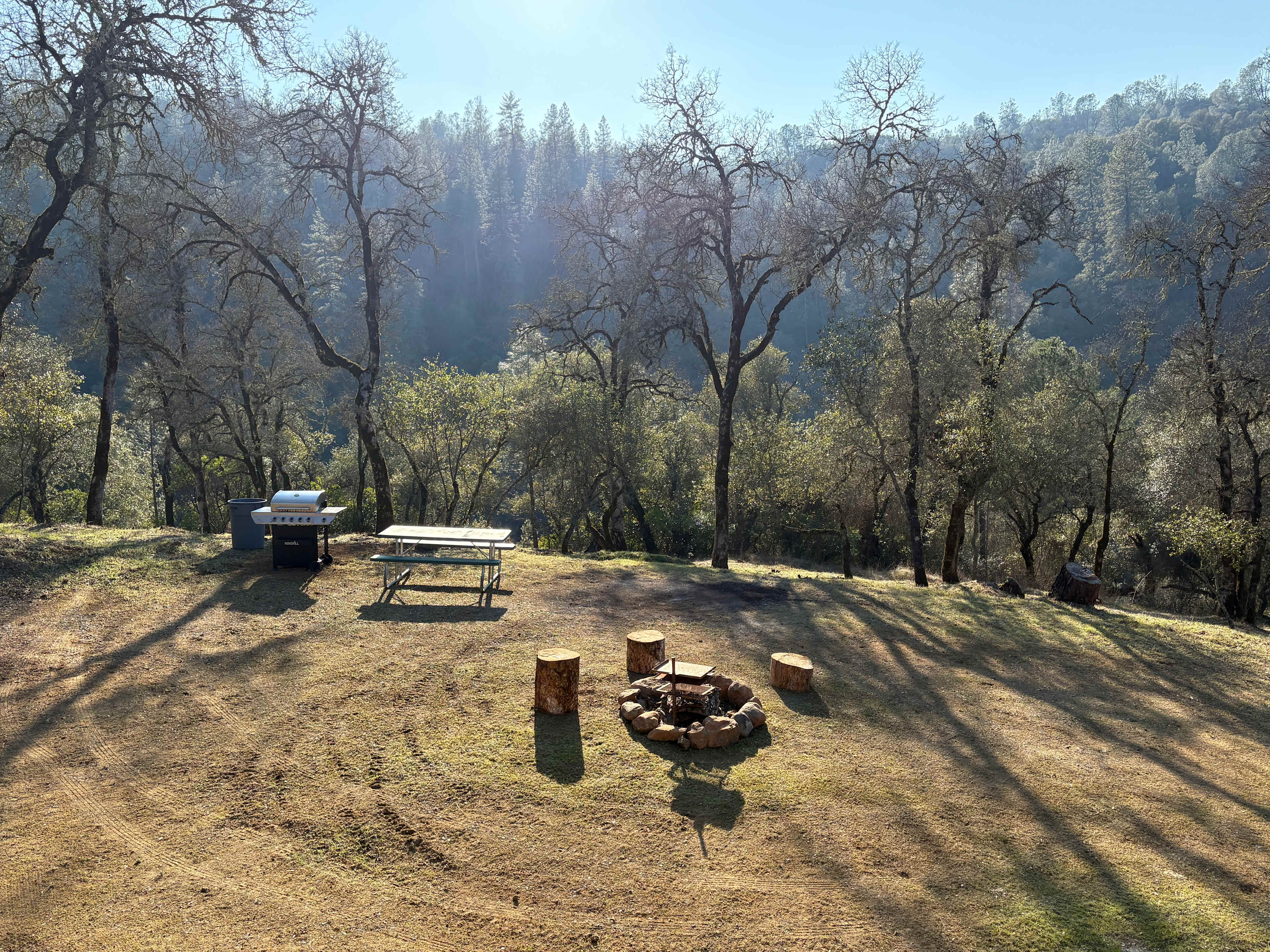 Picture of the site