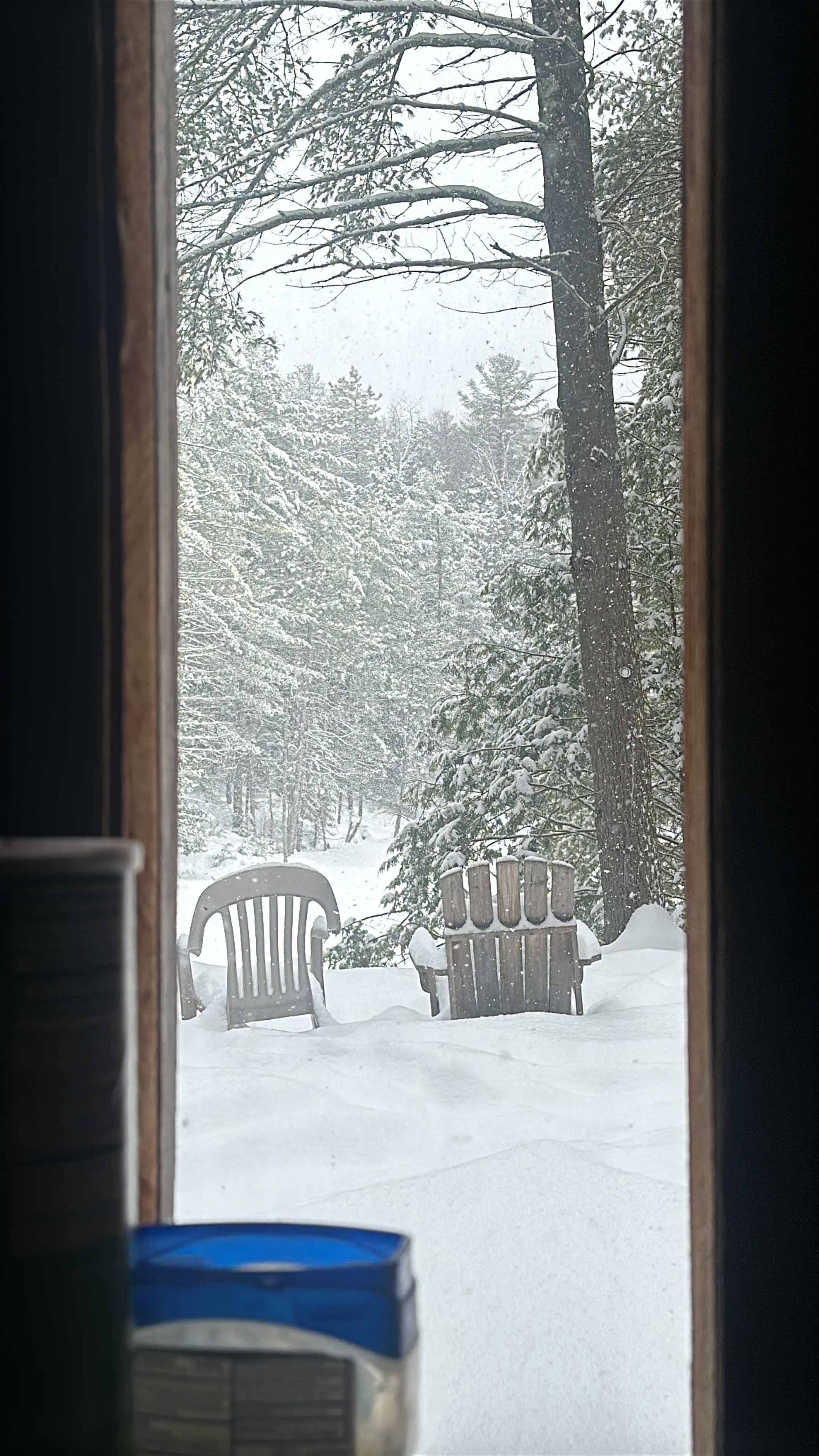 Adirondack Rustic Retreat