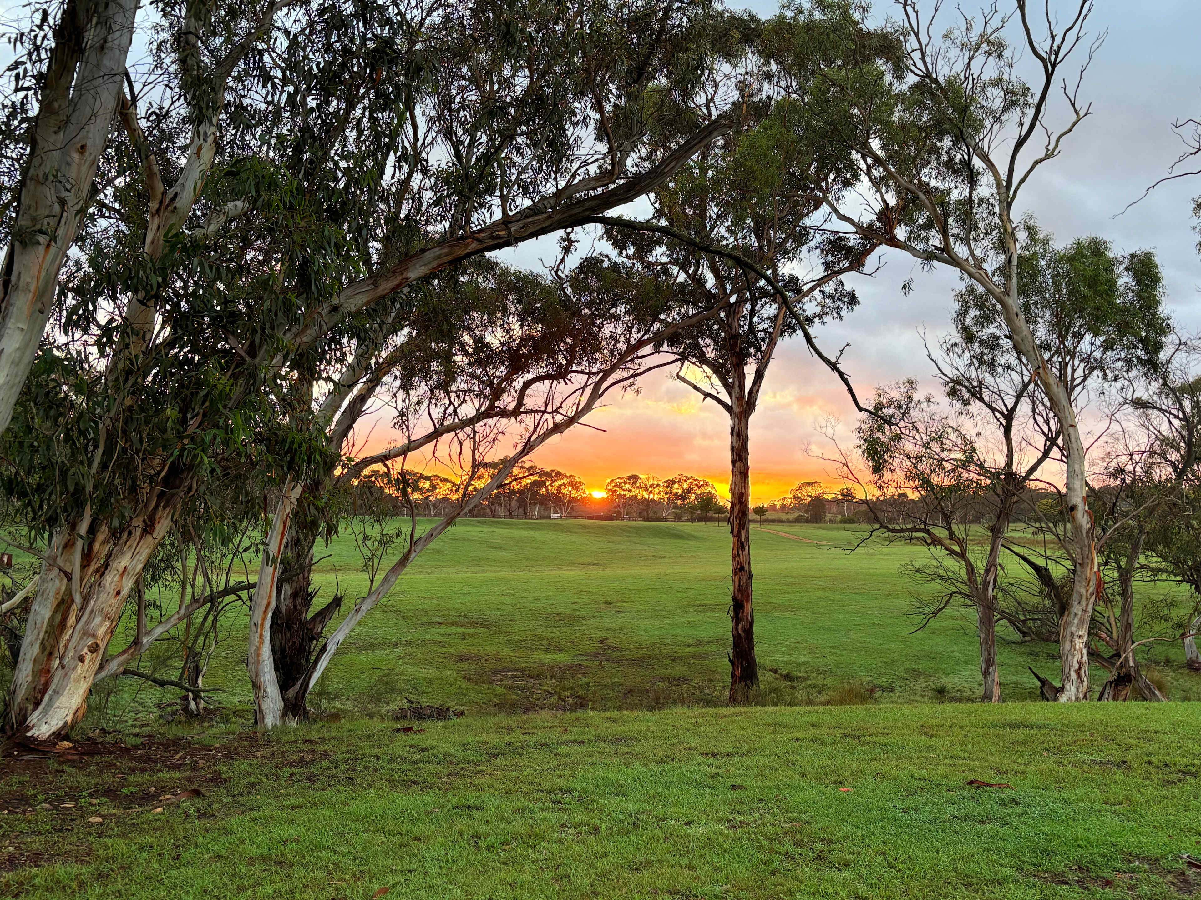 Truffle Farm Camping