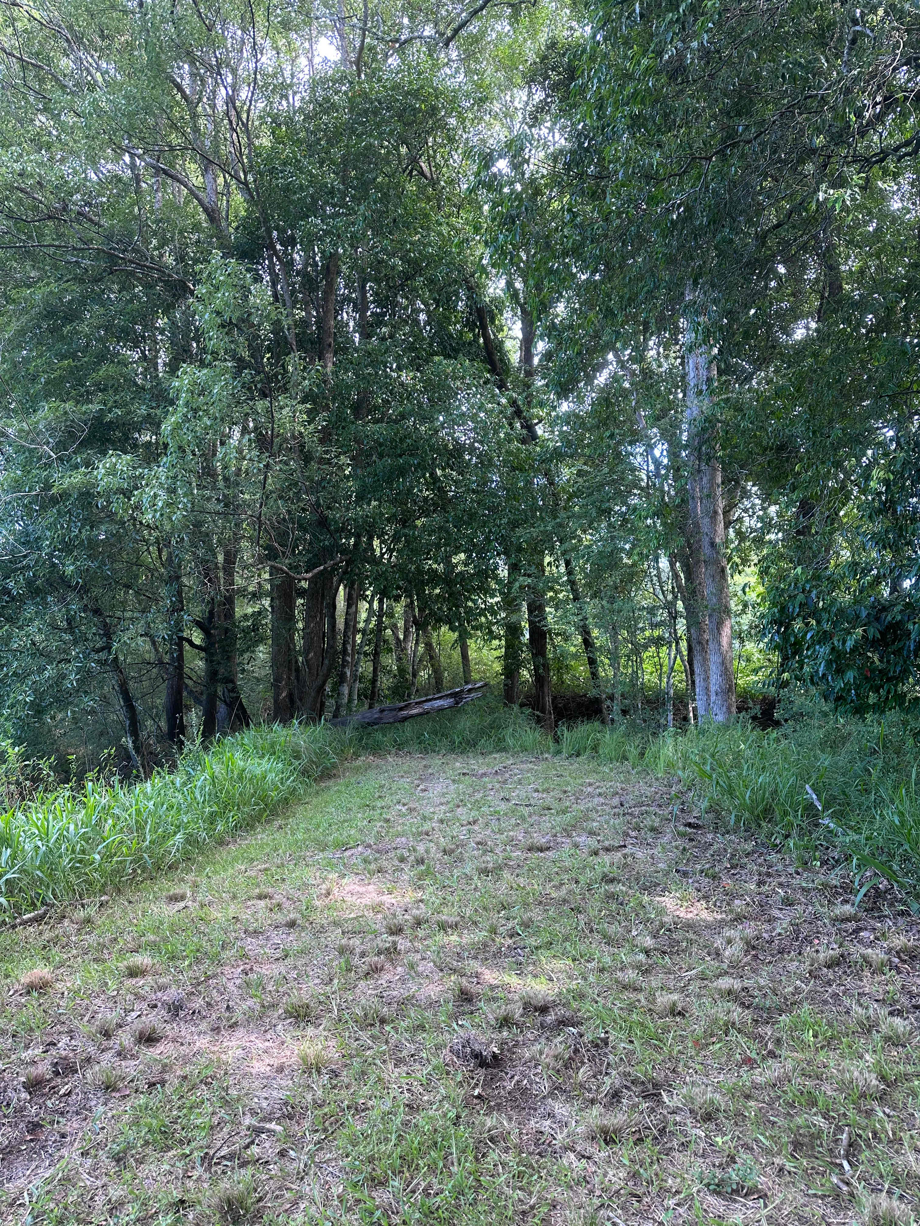 Koppin Valley Farm
