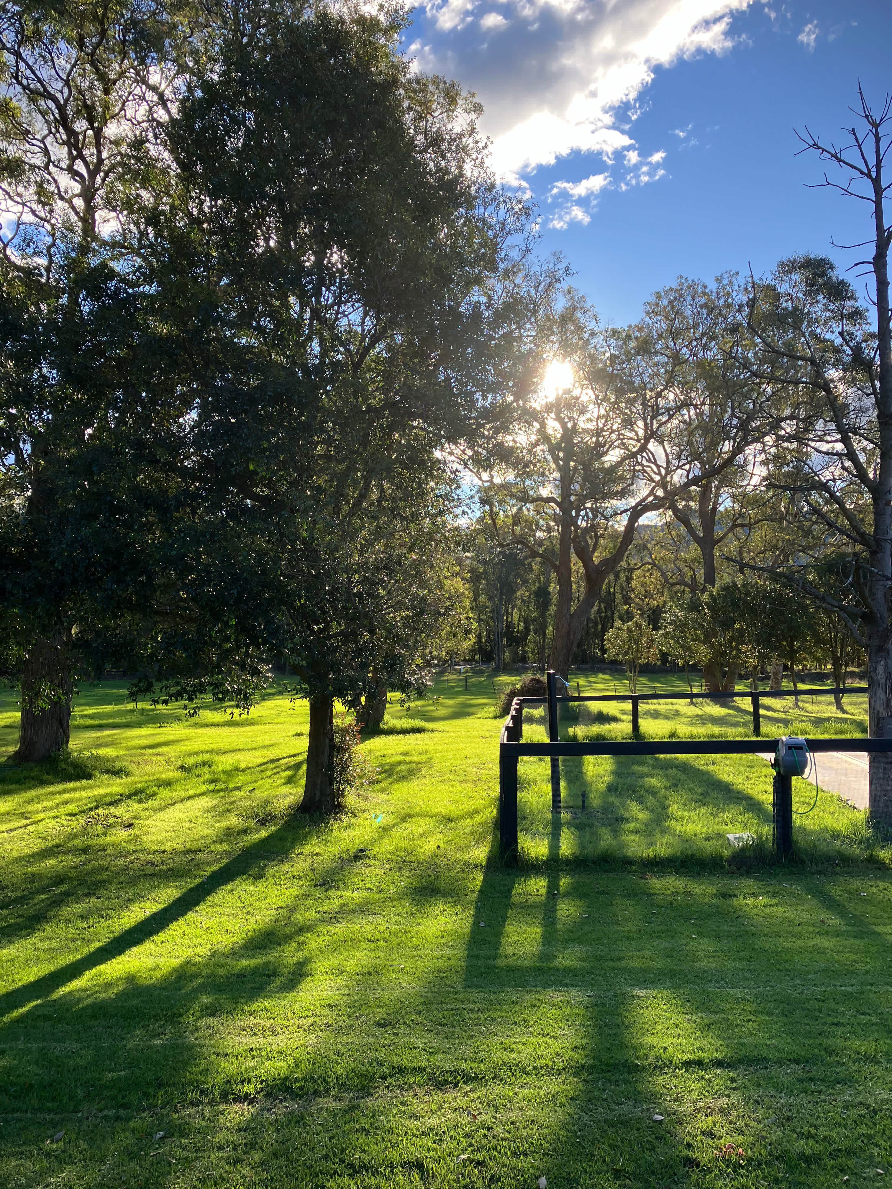 The Home Paddock at Paperbark