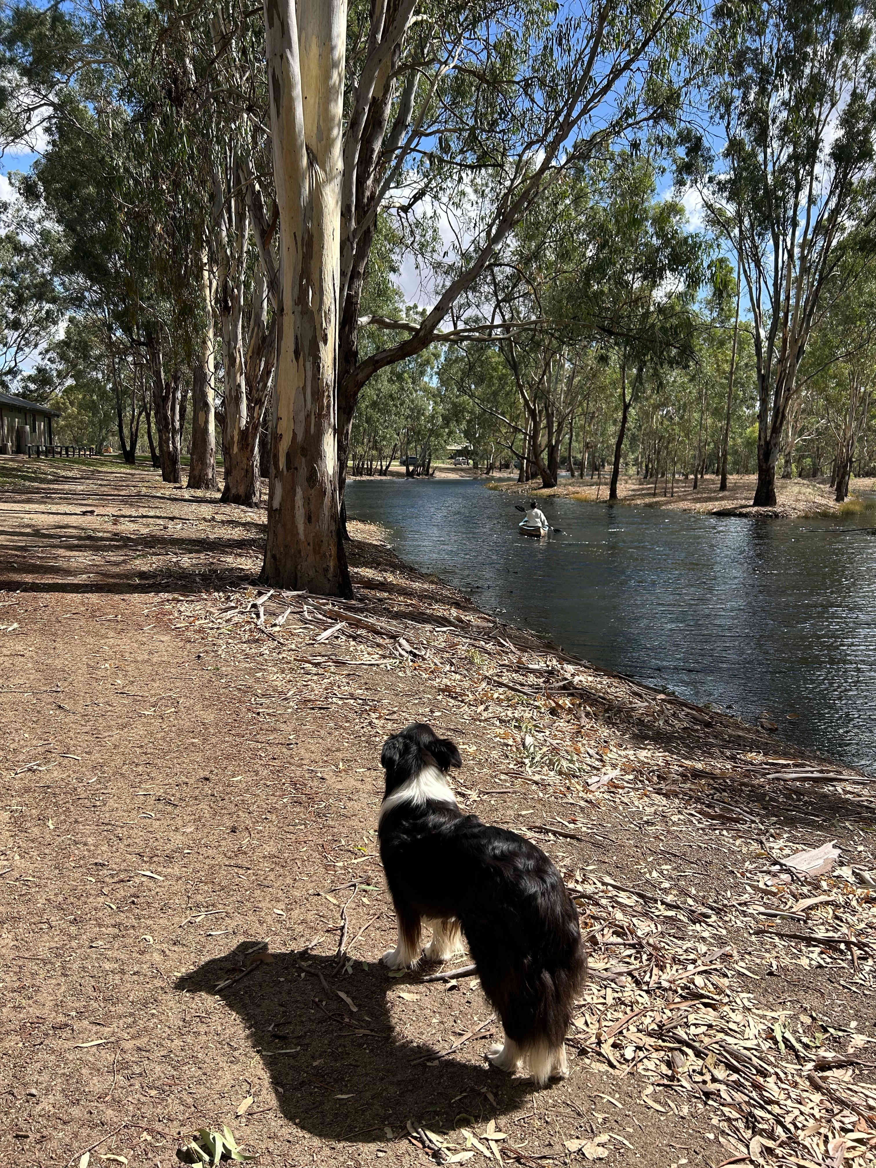 The Paddock at Ulupna