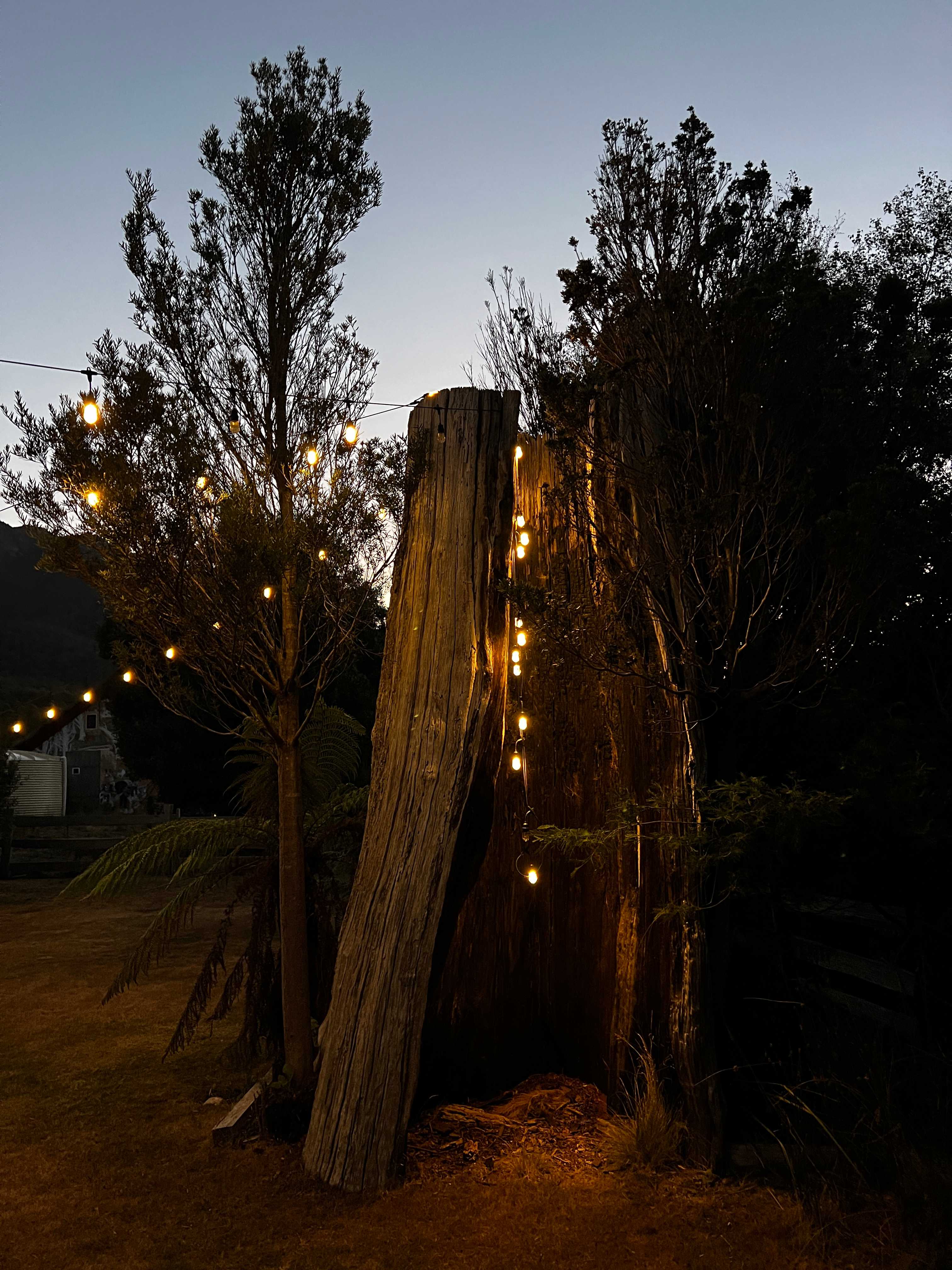 Wilder Tasmania