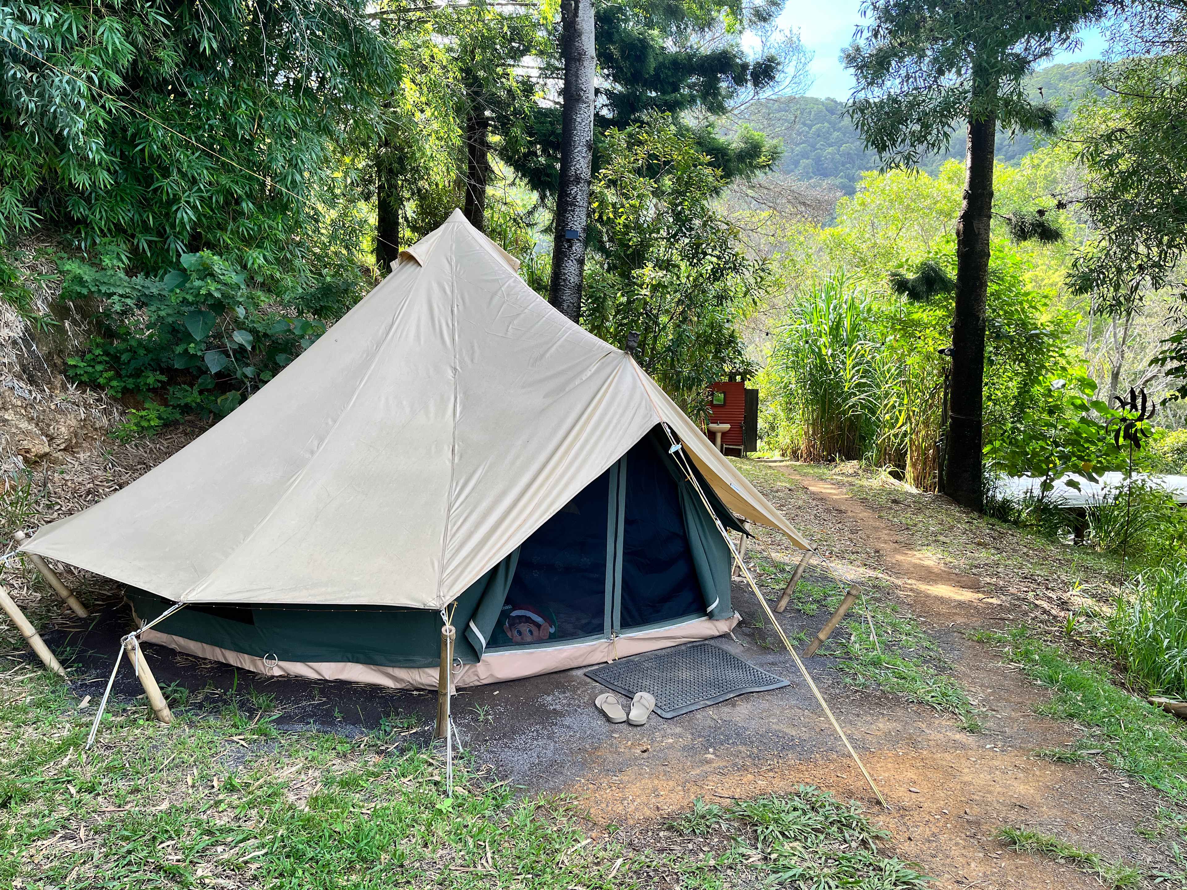 A Tent in The Forest