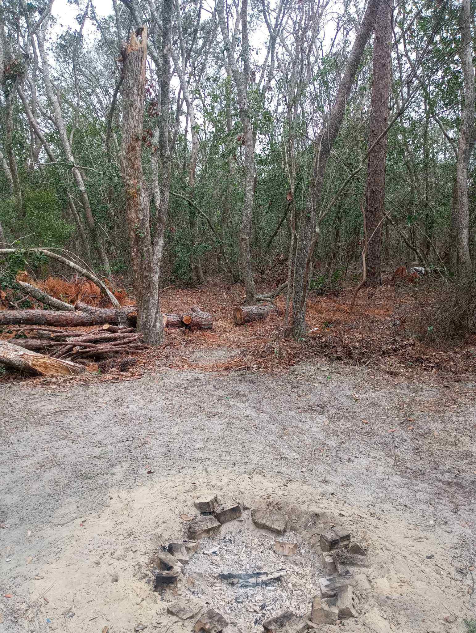 Standard fire pit.  And path to 2nd camp site.