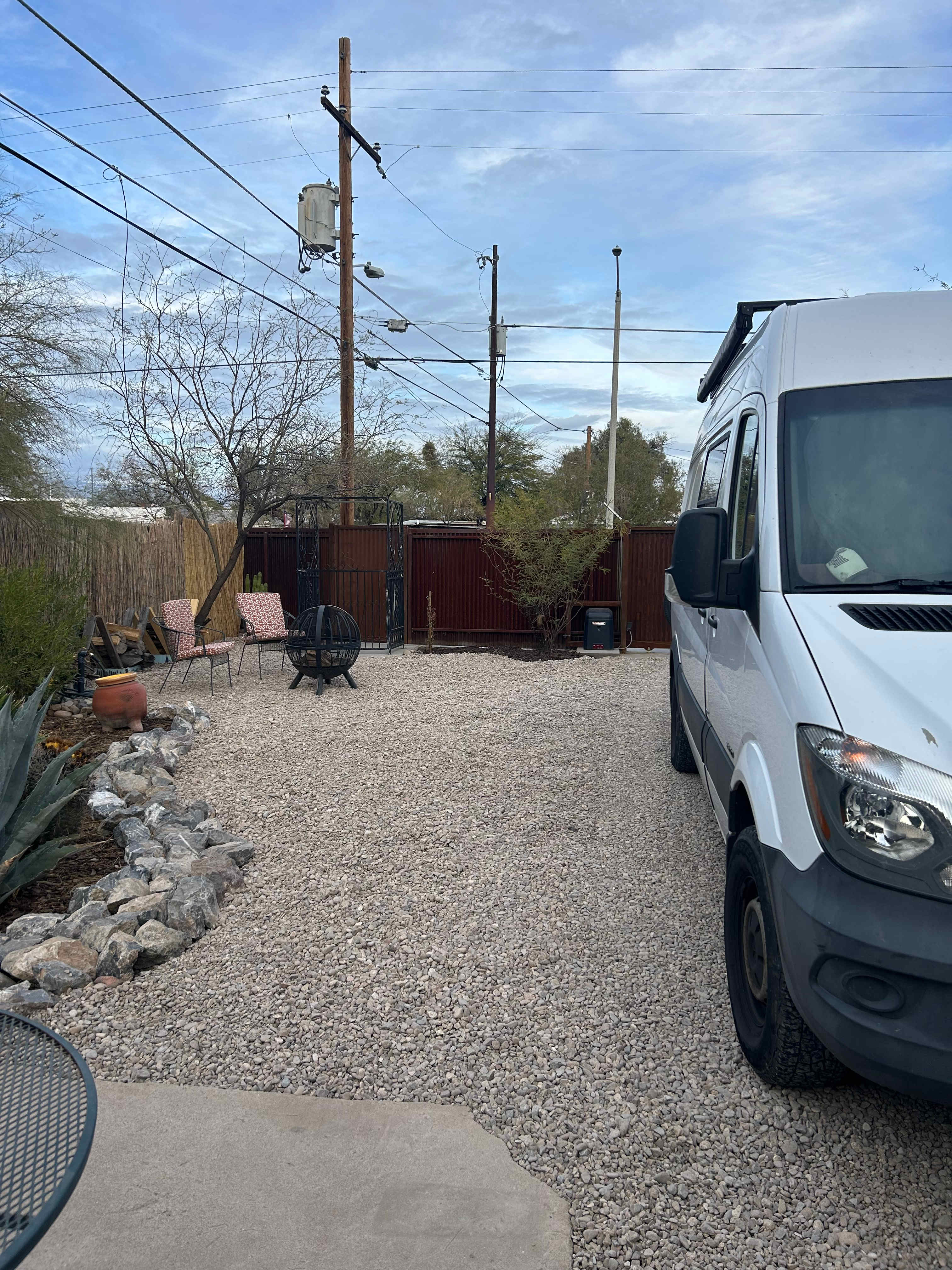Roadrunner Tucson Birds and Cacti