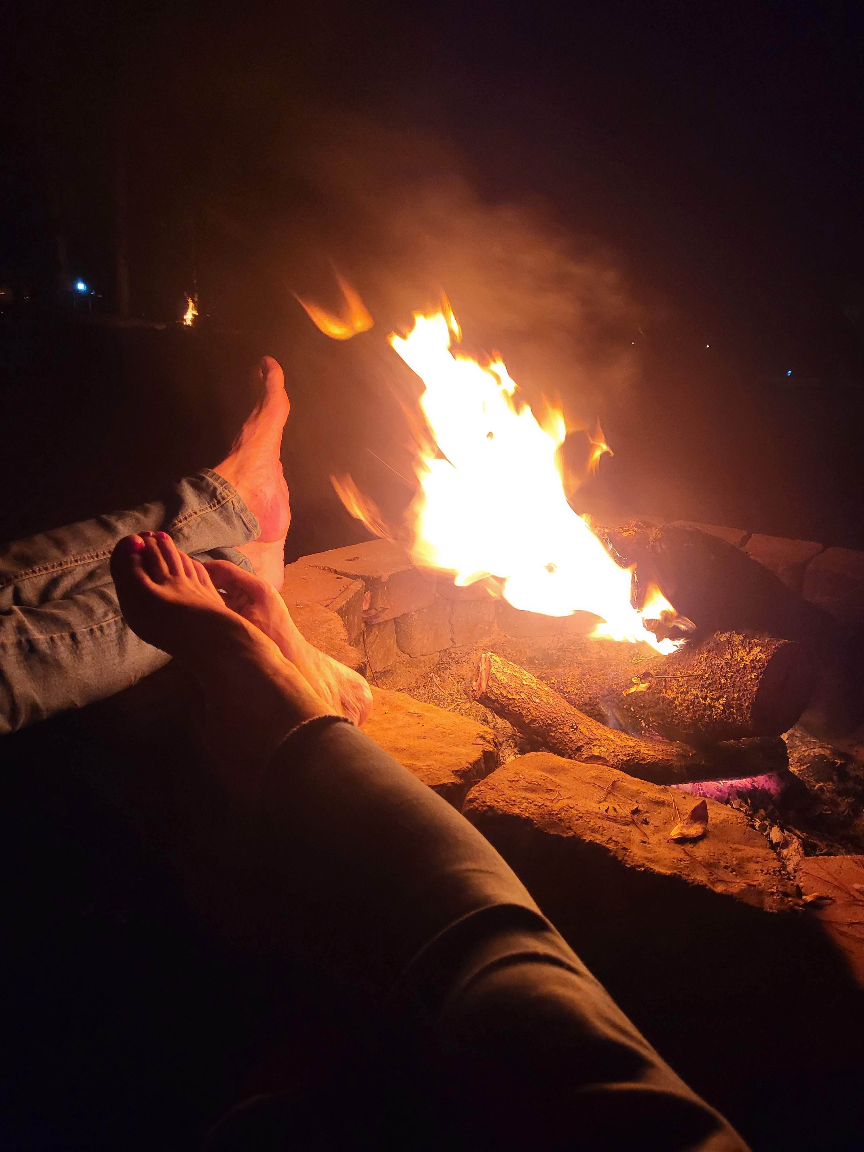 The Olive Grove Cabin Tent