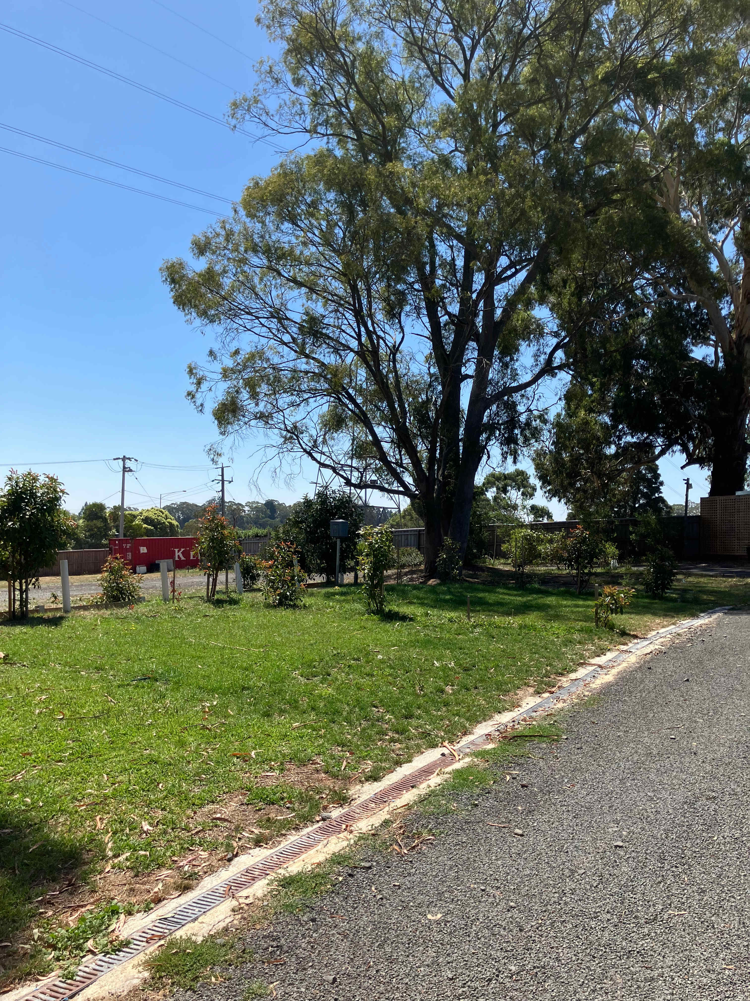 Woodmanshill Motel And Rose Park