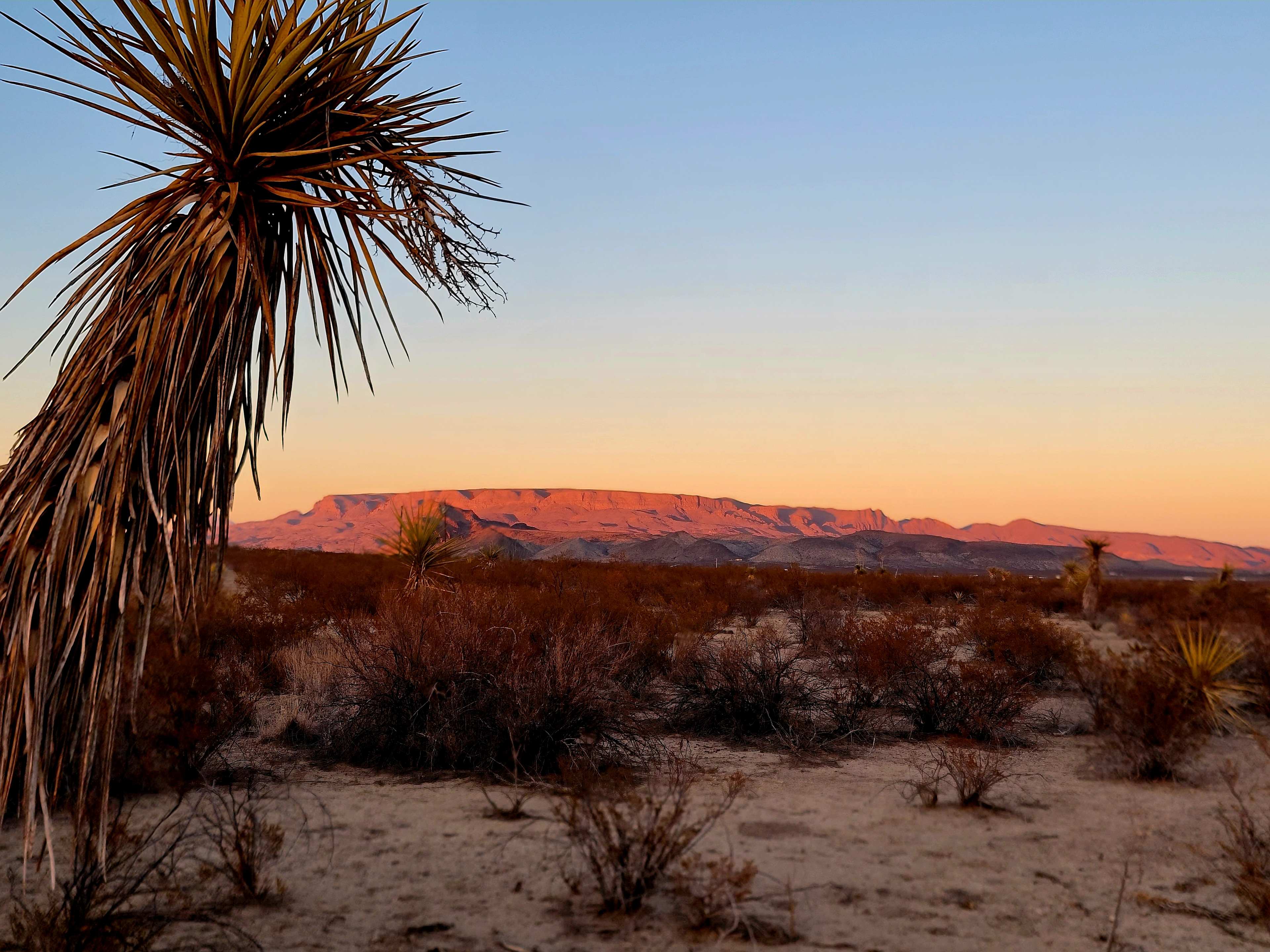 Vista De Las Montañas Terlingua
