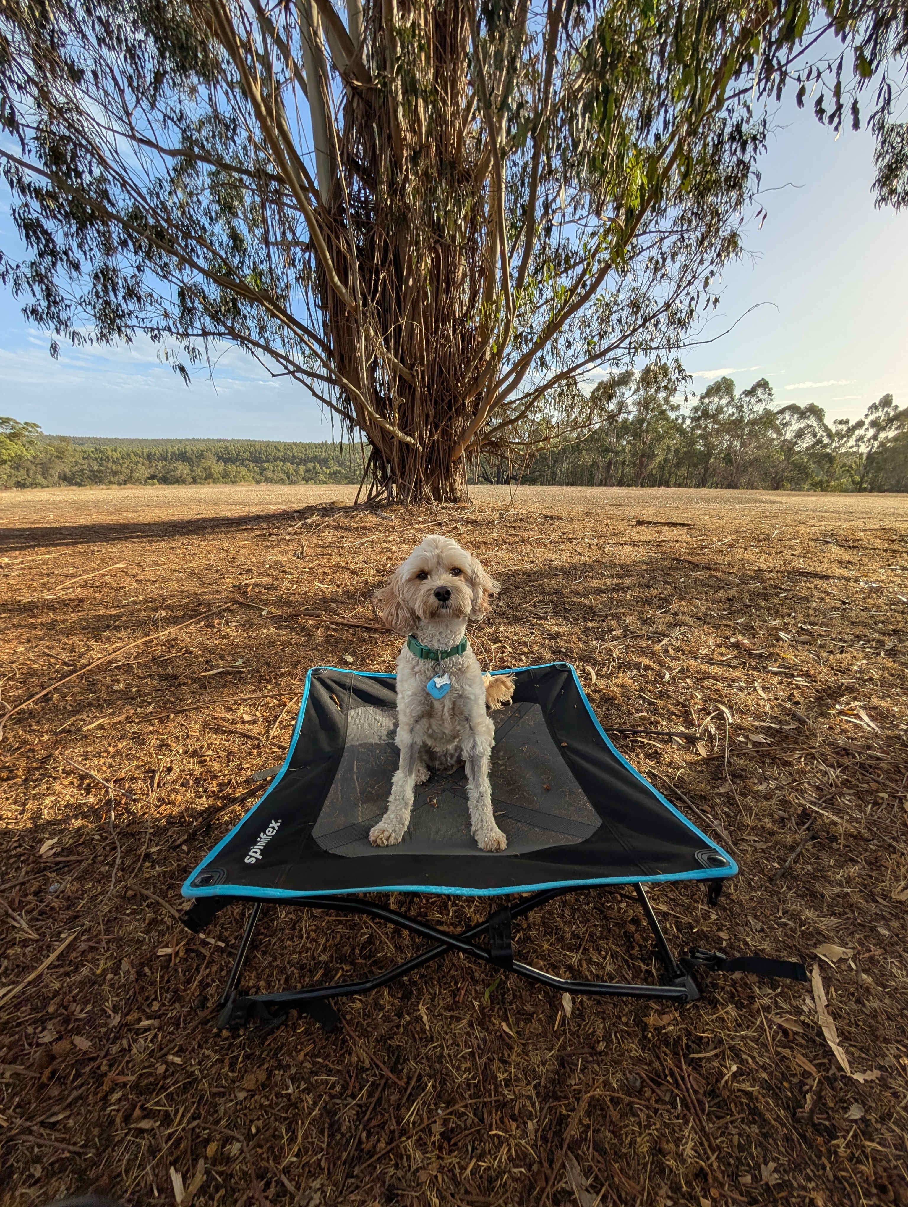 Eddies Beach Farm, Forest Hill