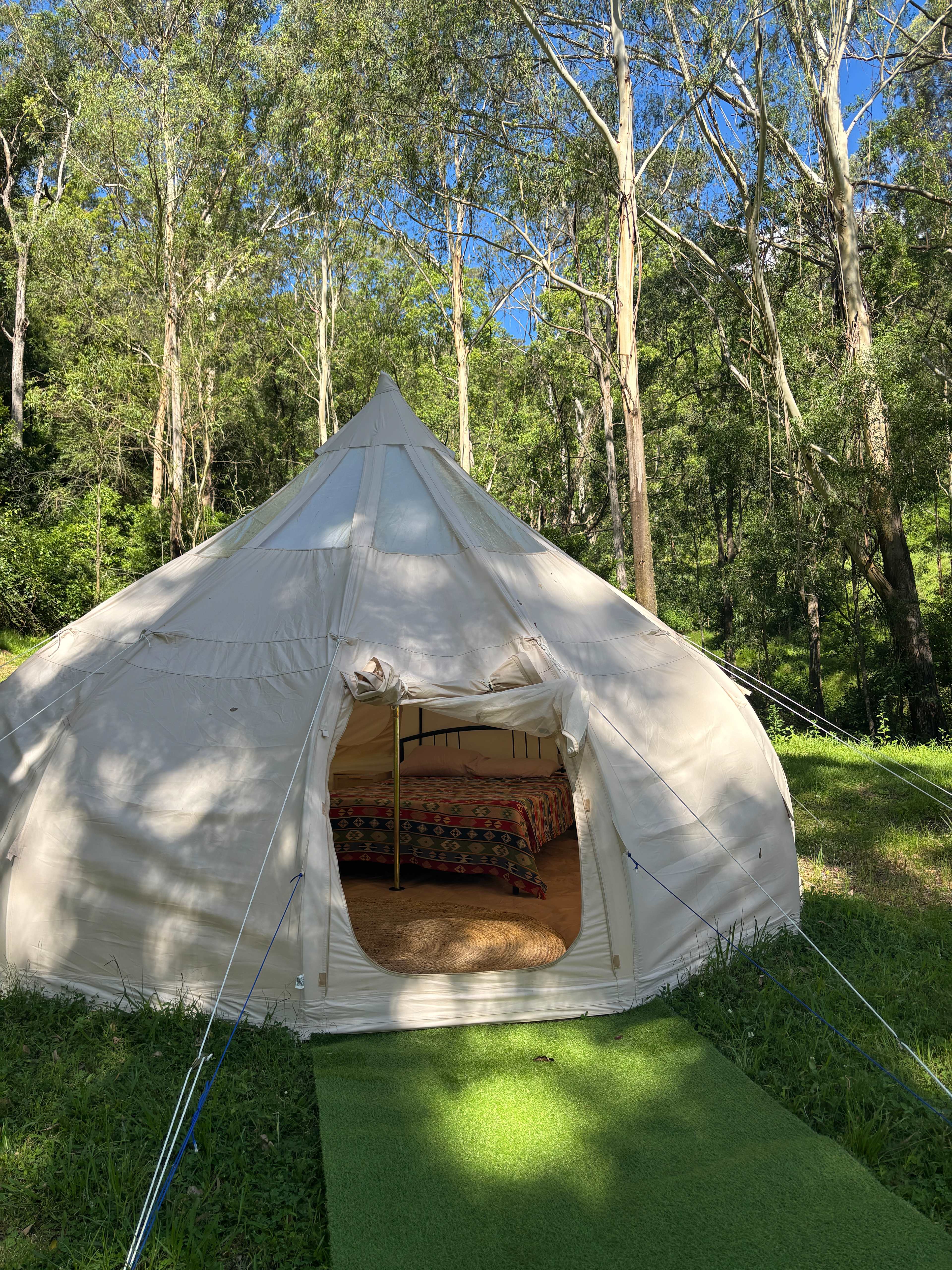 Glamping Around An Ancient Tree