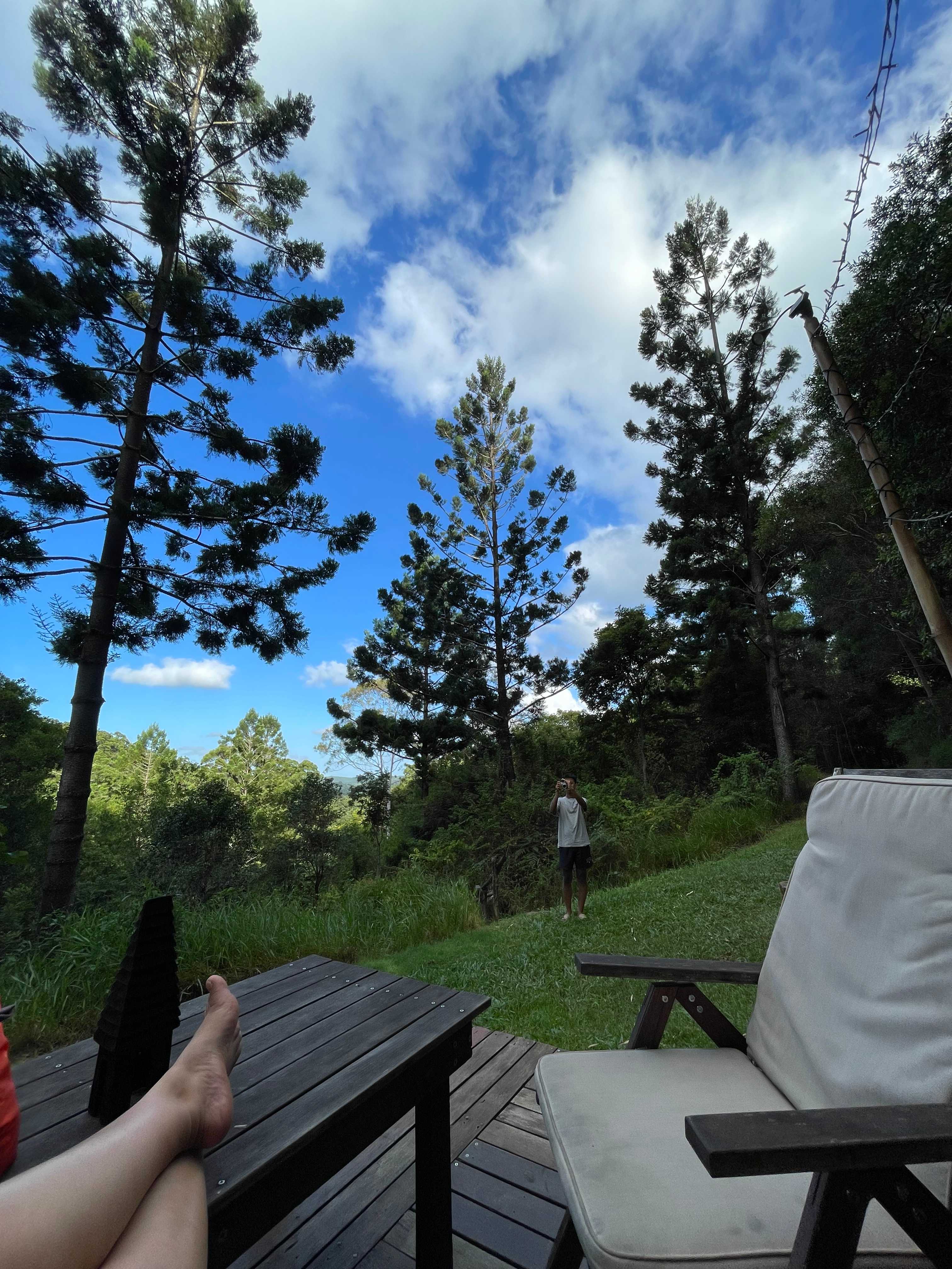 A Tent in The Forest