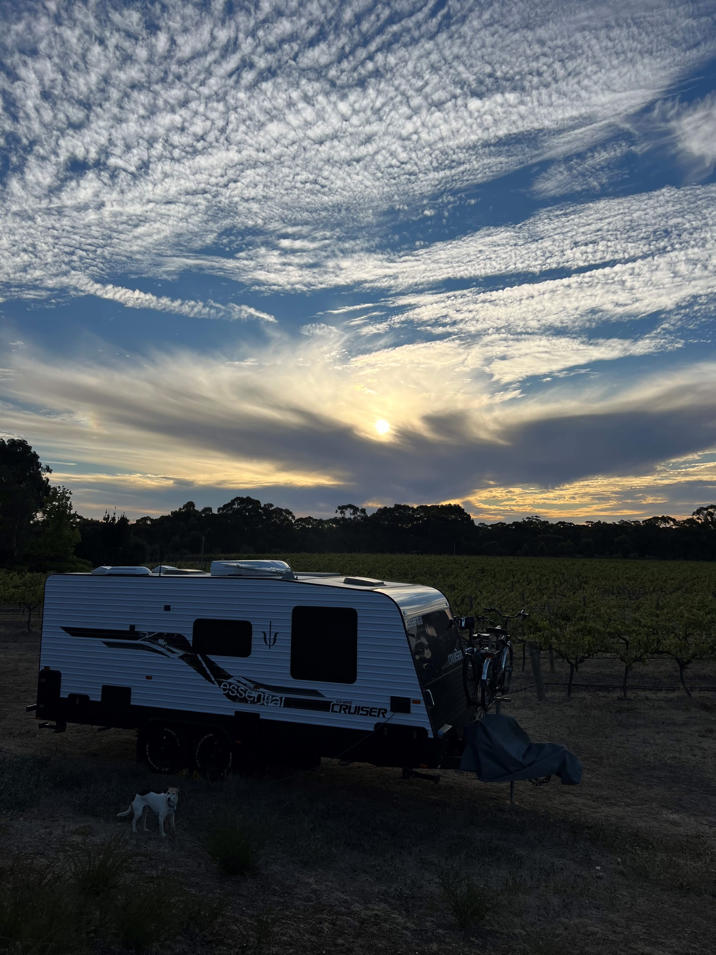 Sandhurst Ridge Vineyard