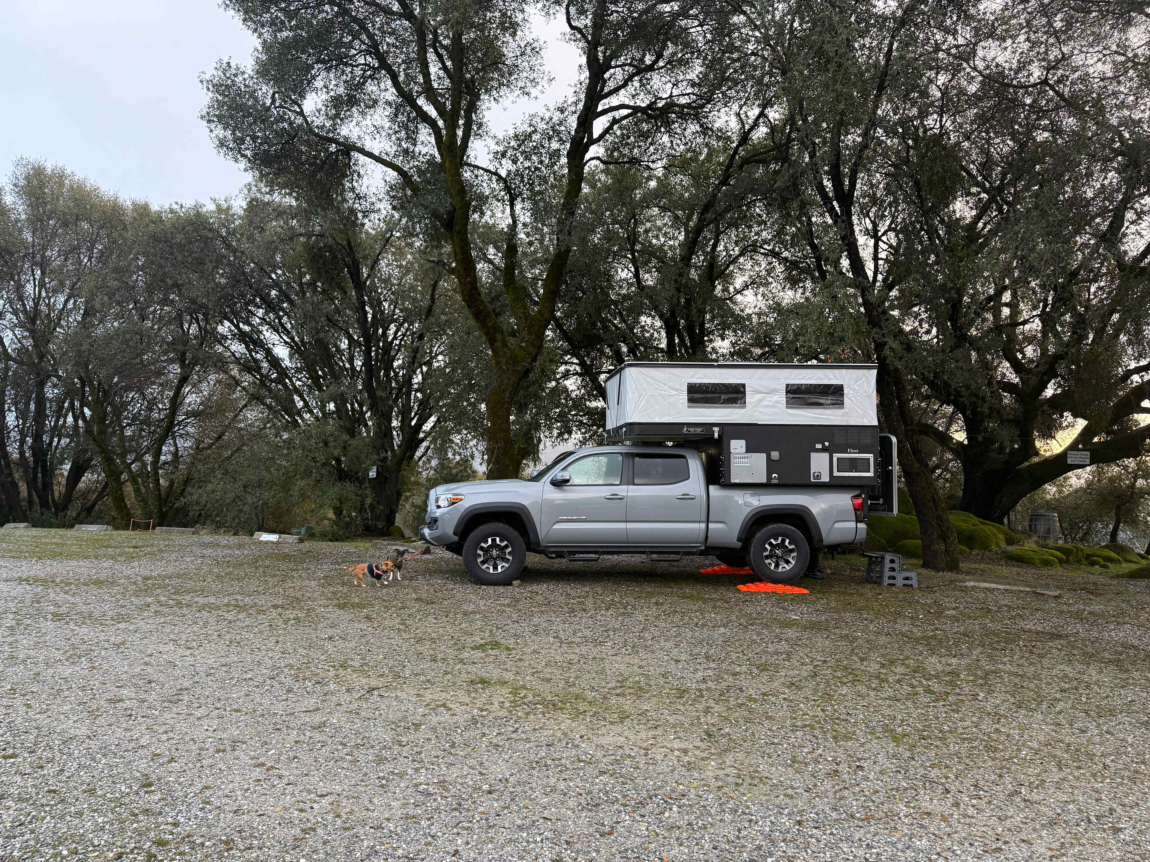 Camp 🏕 Gold Dust Vineyard