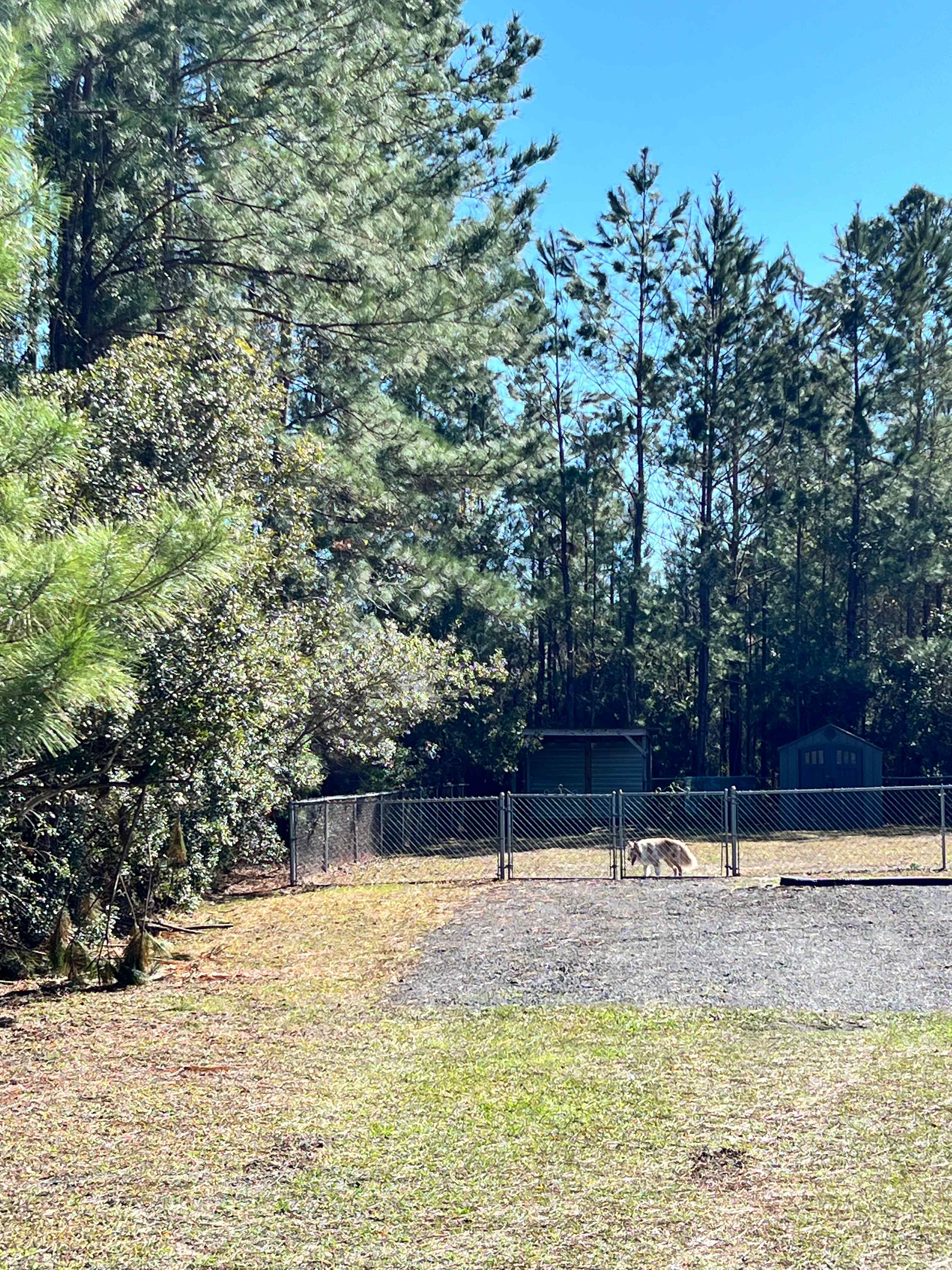 Country Camp, Close To Jekyll !