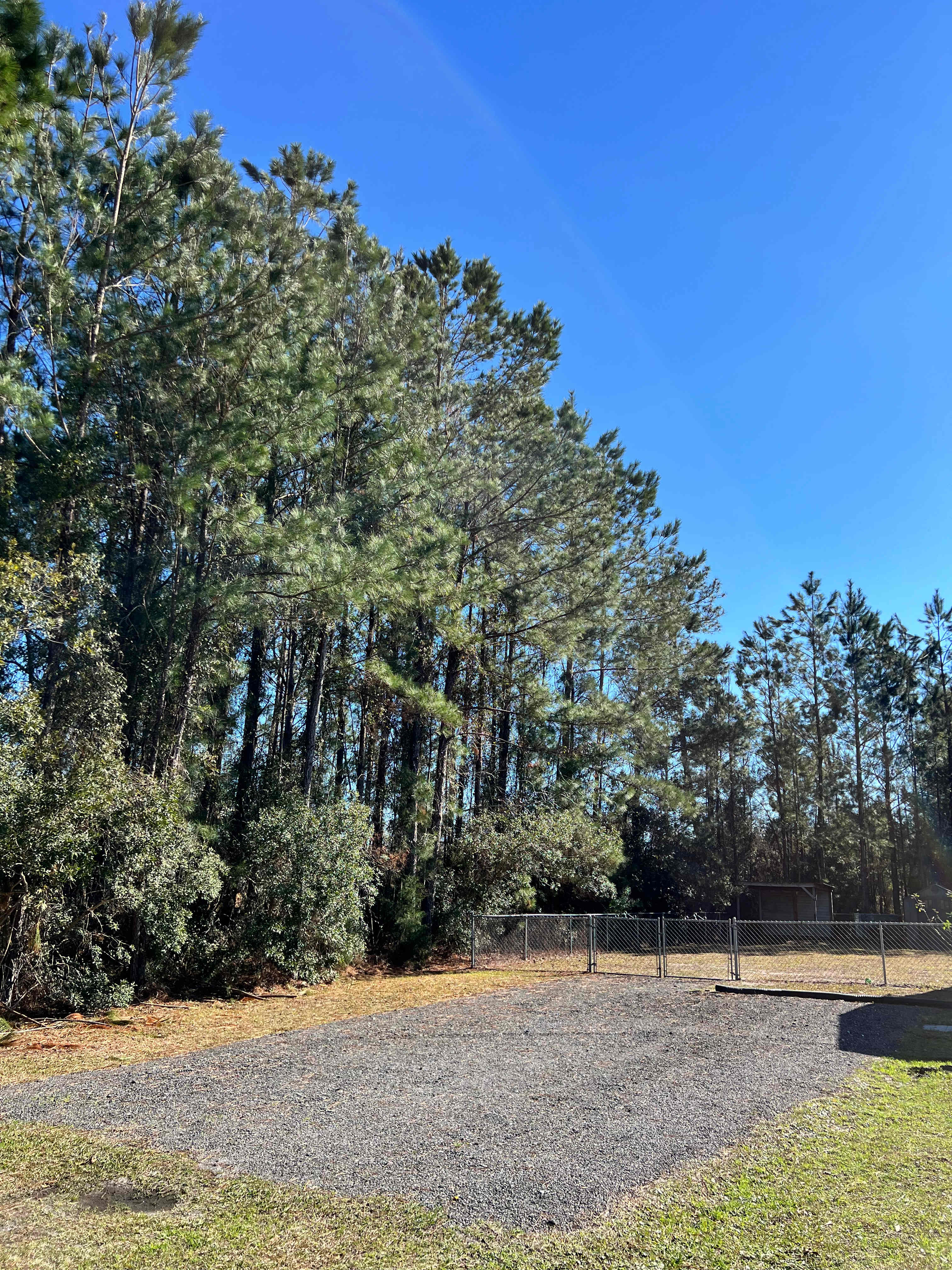 Country Camp, Close To Jekyll !