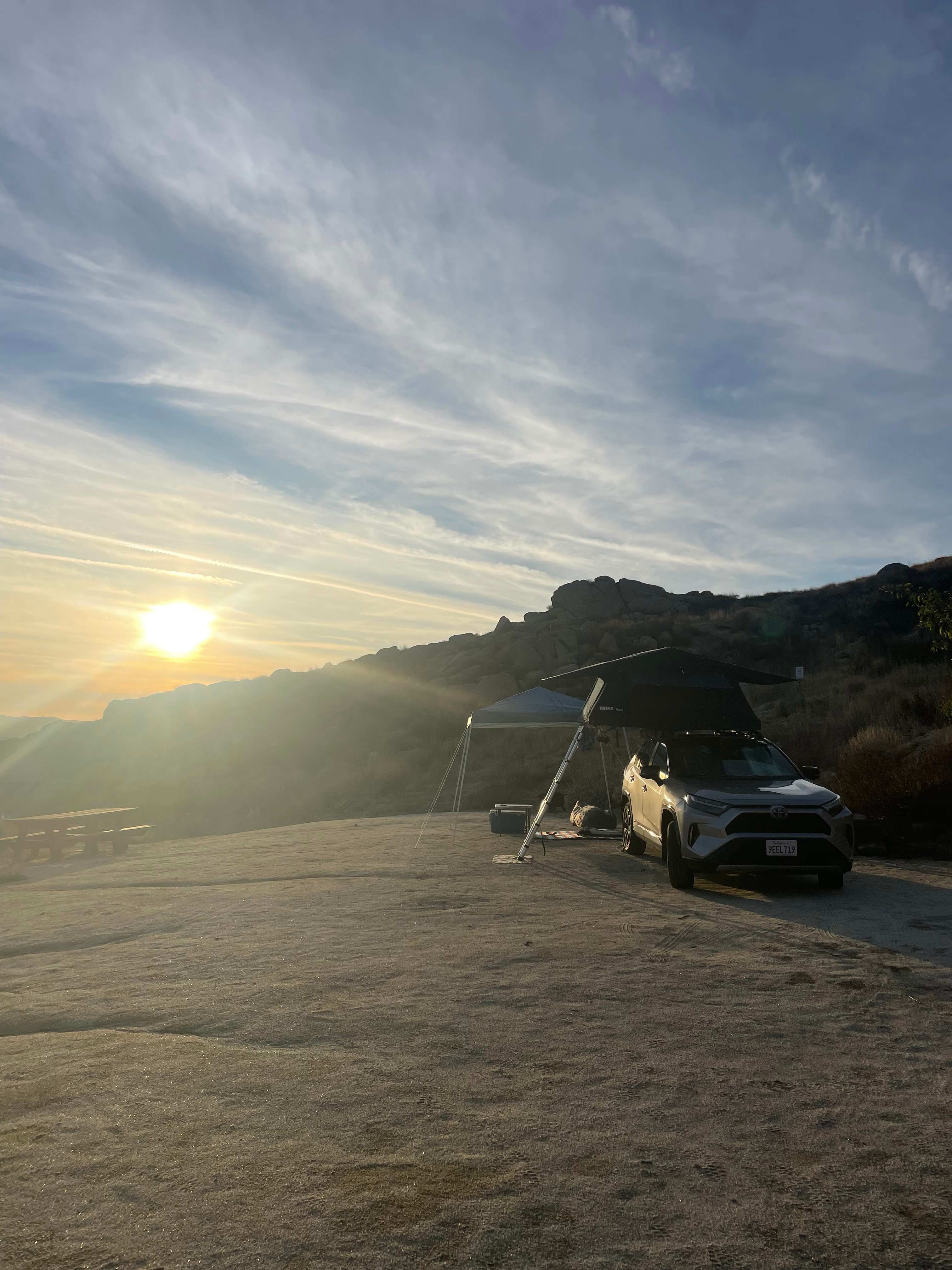 Desert Dreamland