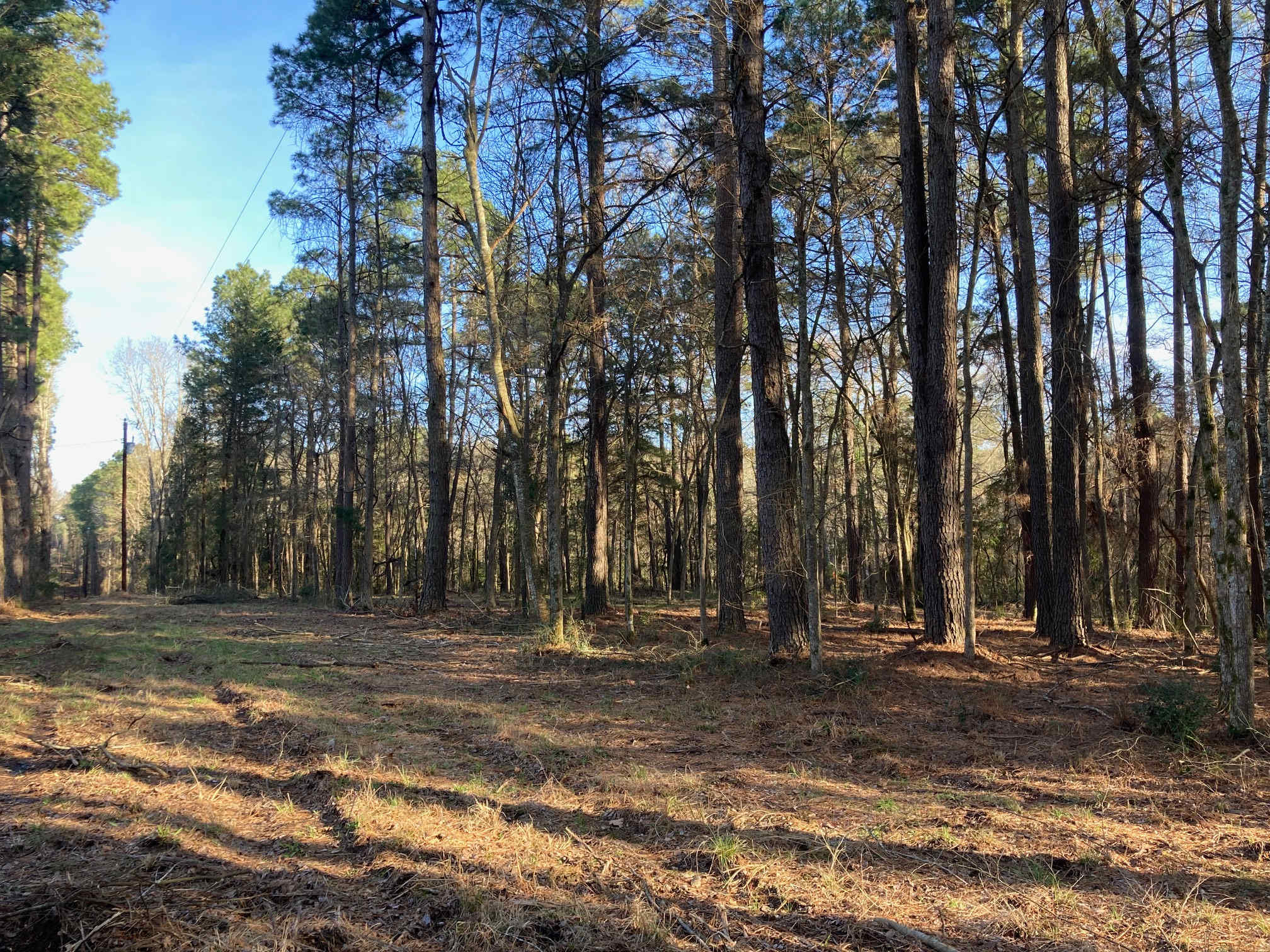 Timber Woods & Creek Resort